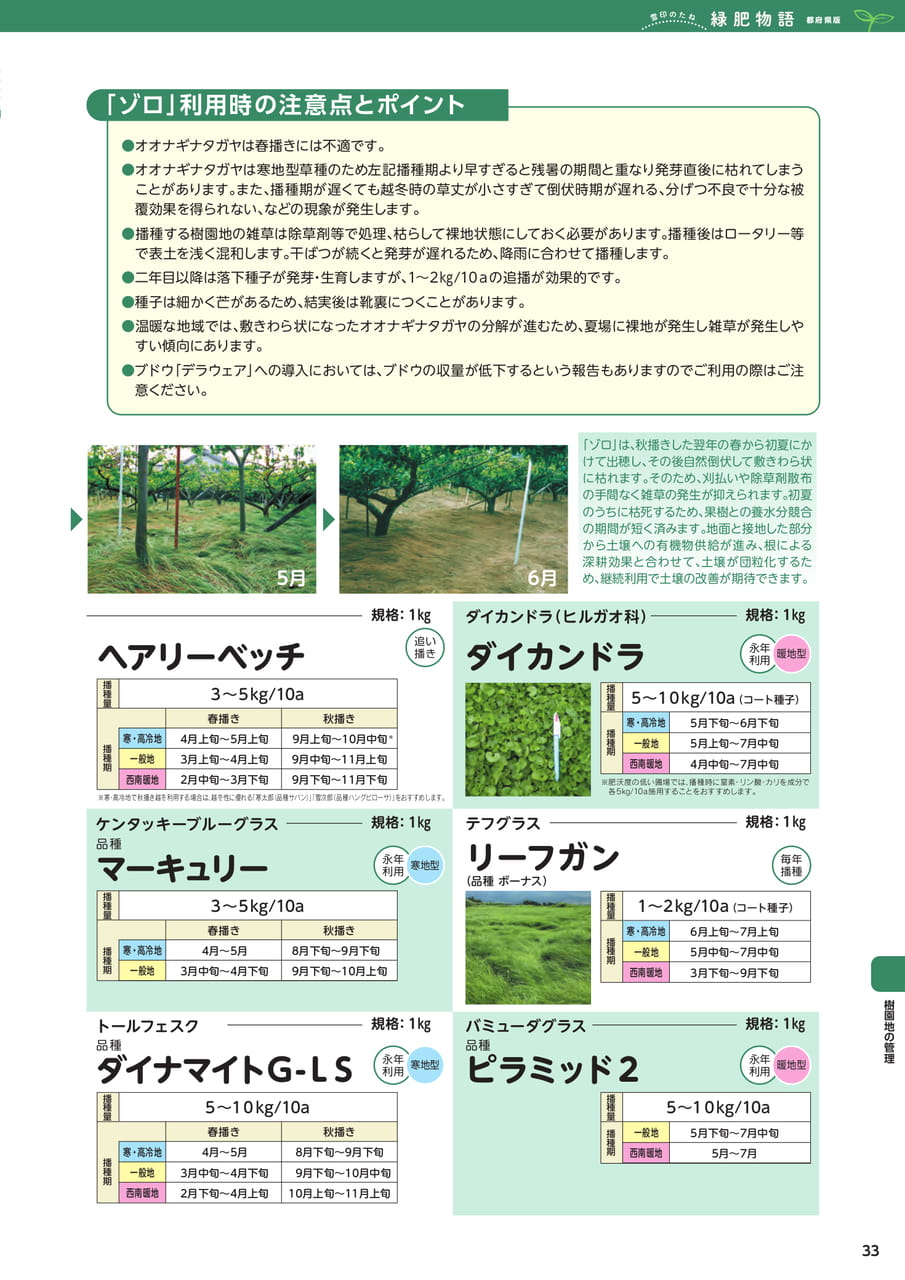 Page 33(33ページ目)