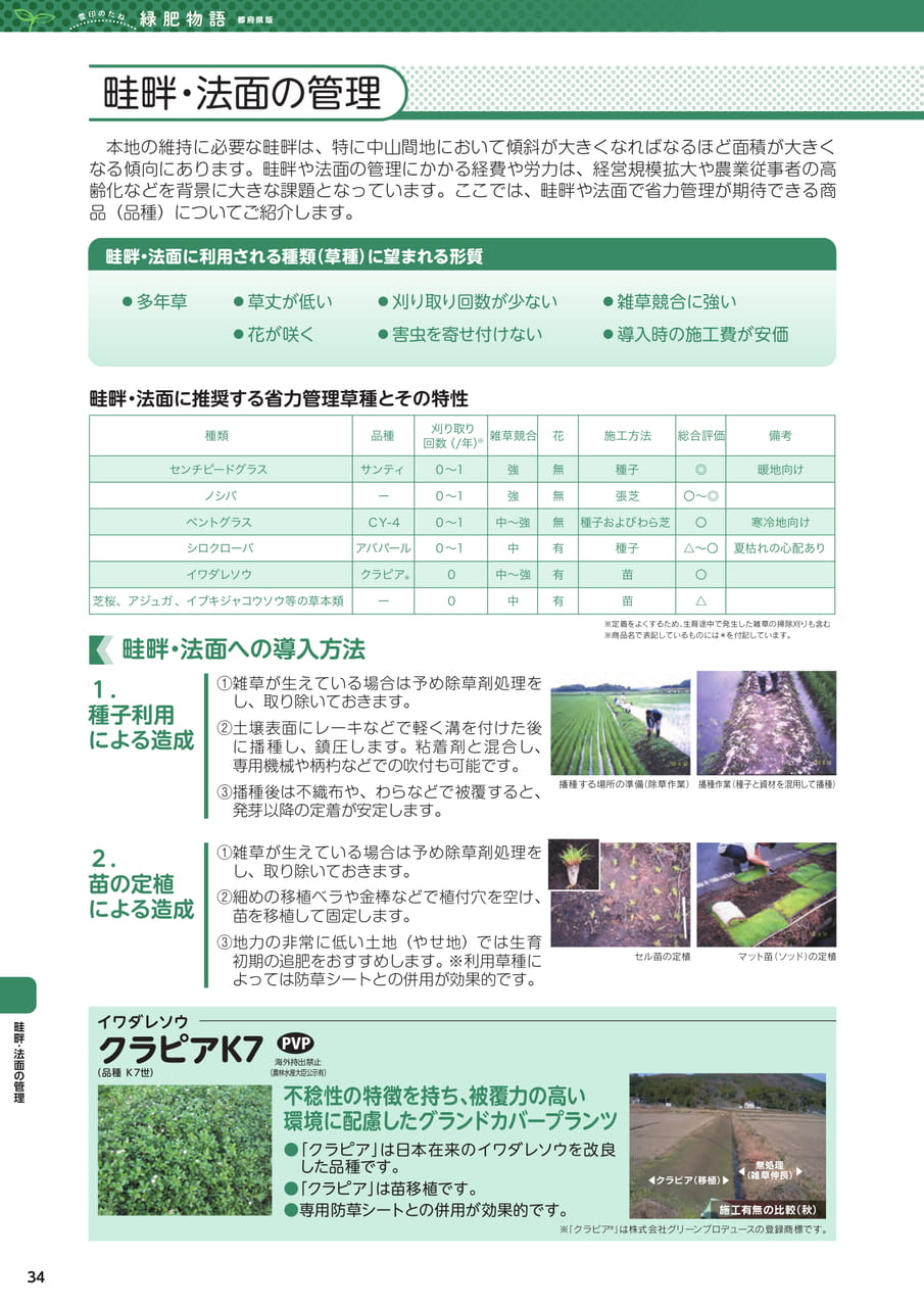 Page 34(34ページ目)