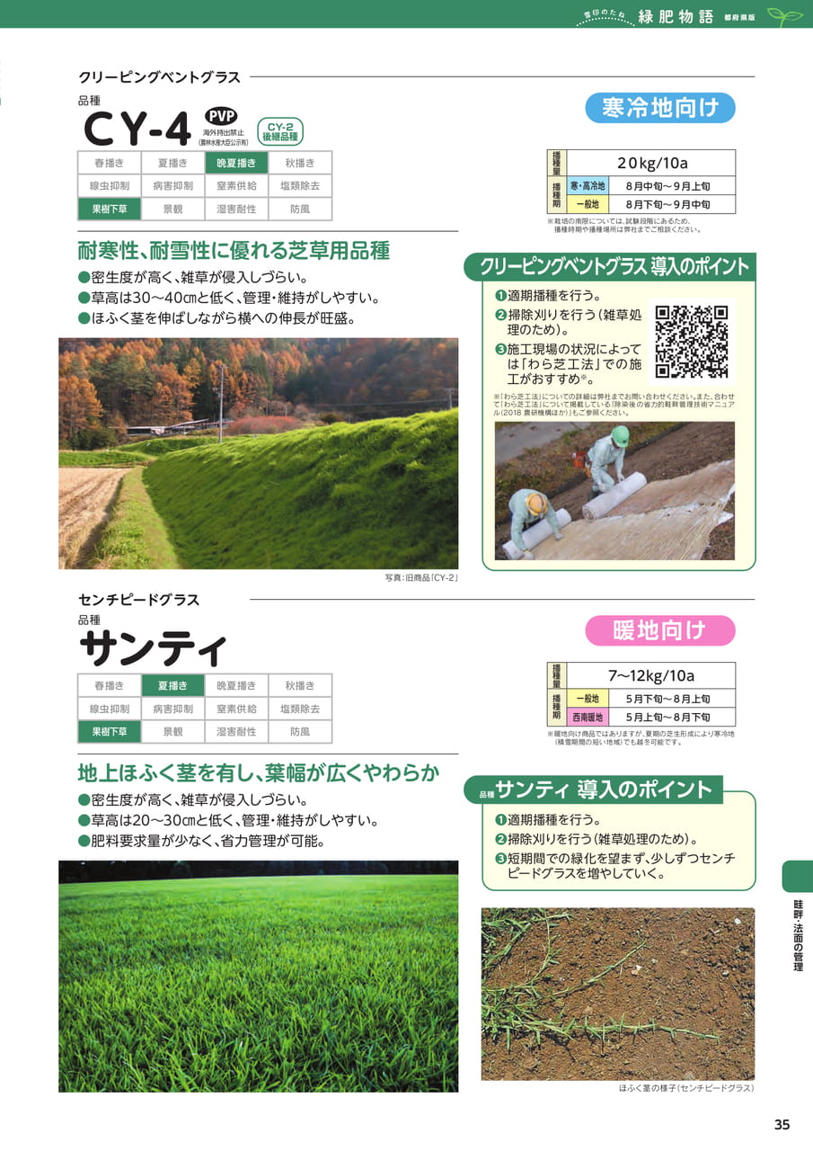 Page 35(35ページ目)