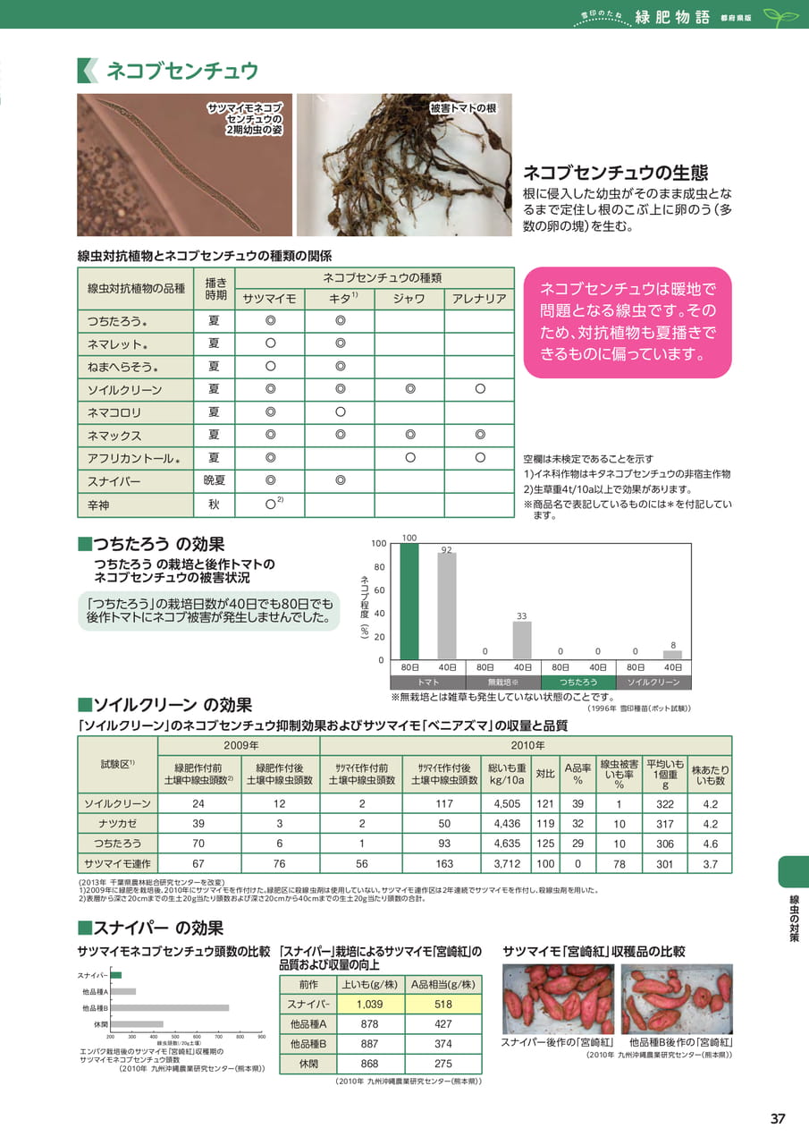Page 37(37ページ目)