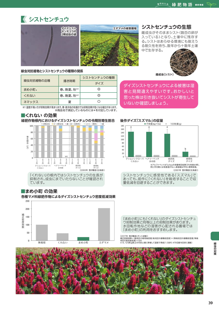 Page 39(39ページ目)