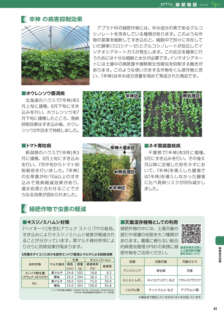 Page 41(41ページ目)