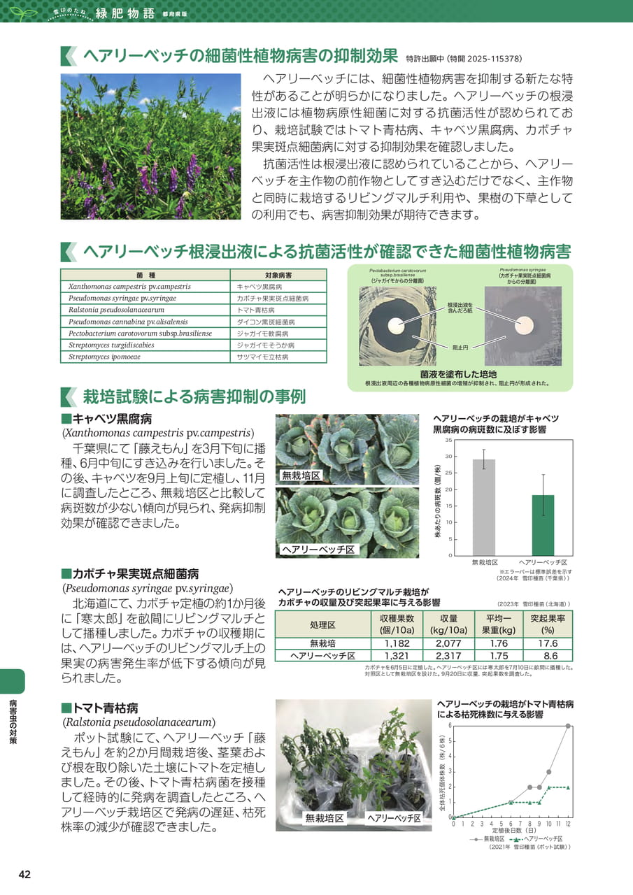 Page 42(42ページ目)