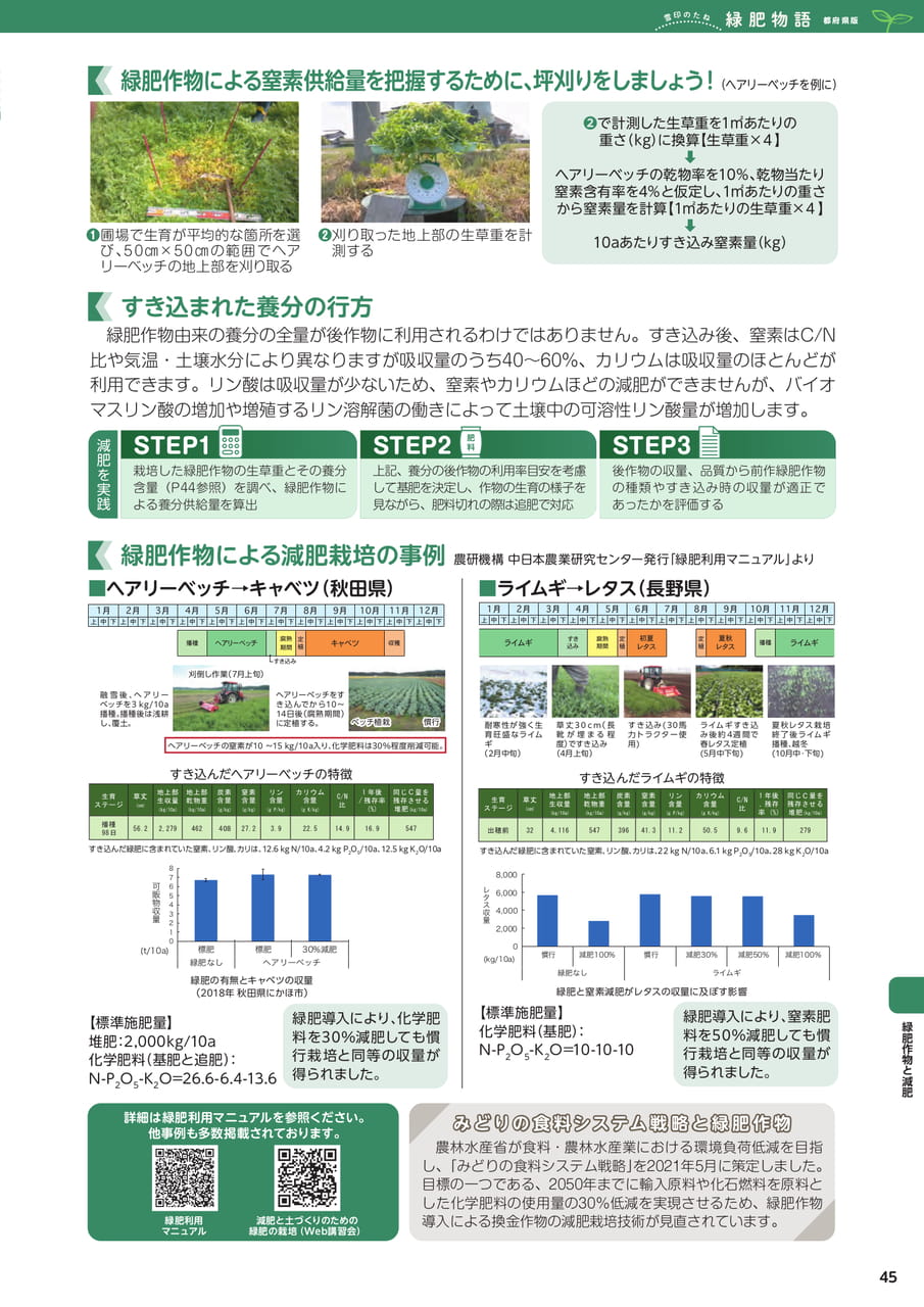 Page 45(45ページ目)