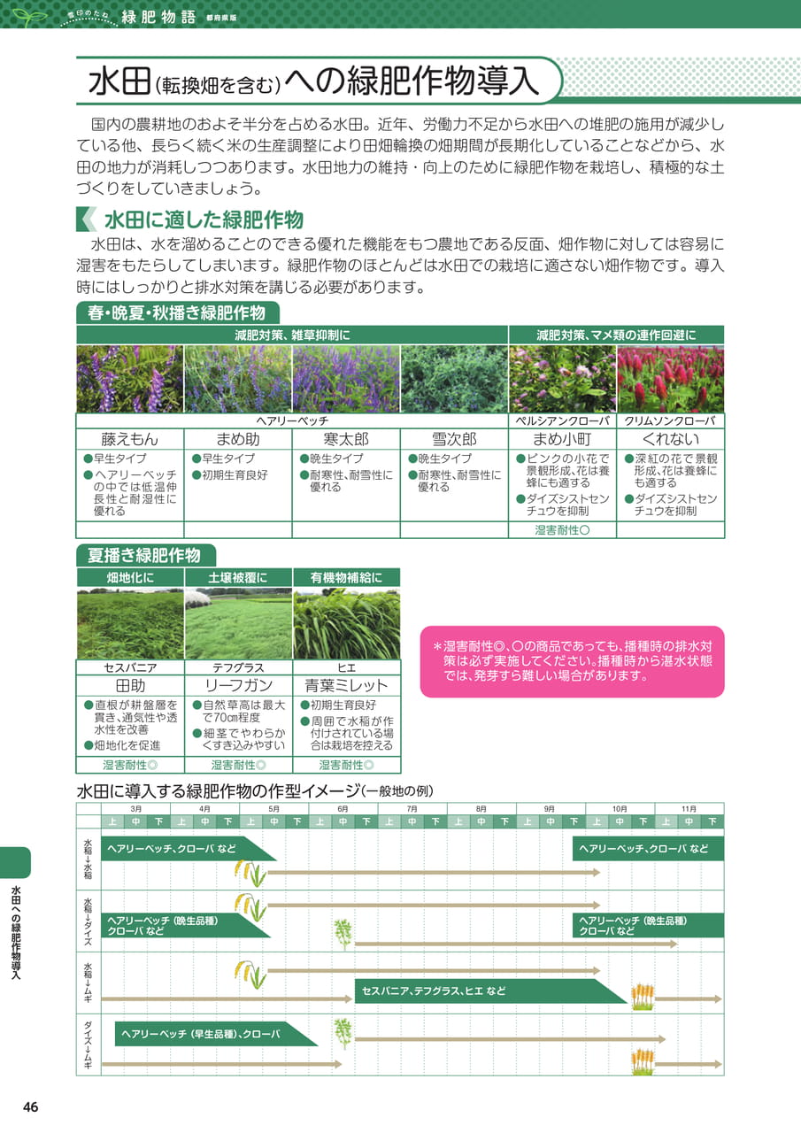 Page 46(46ページ目)