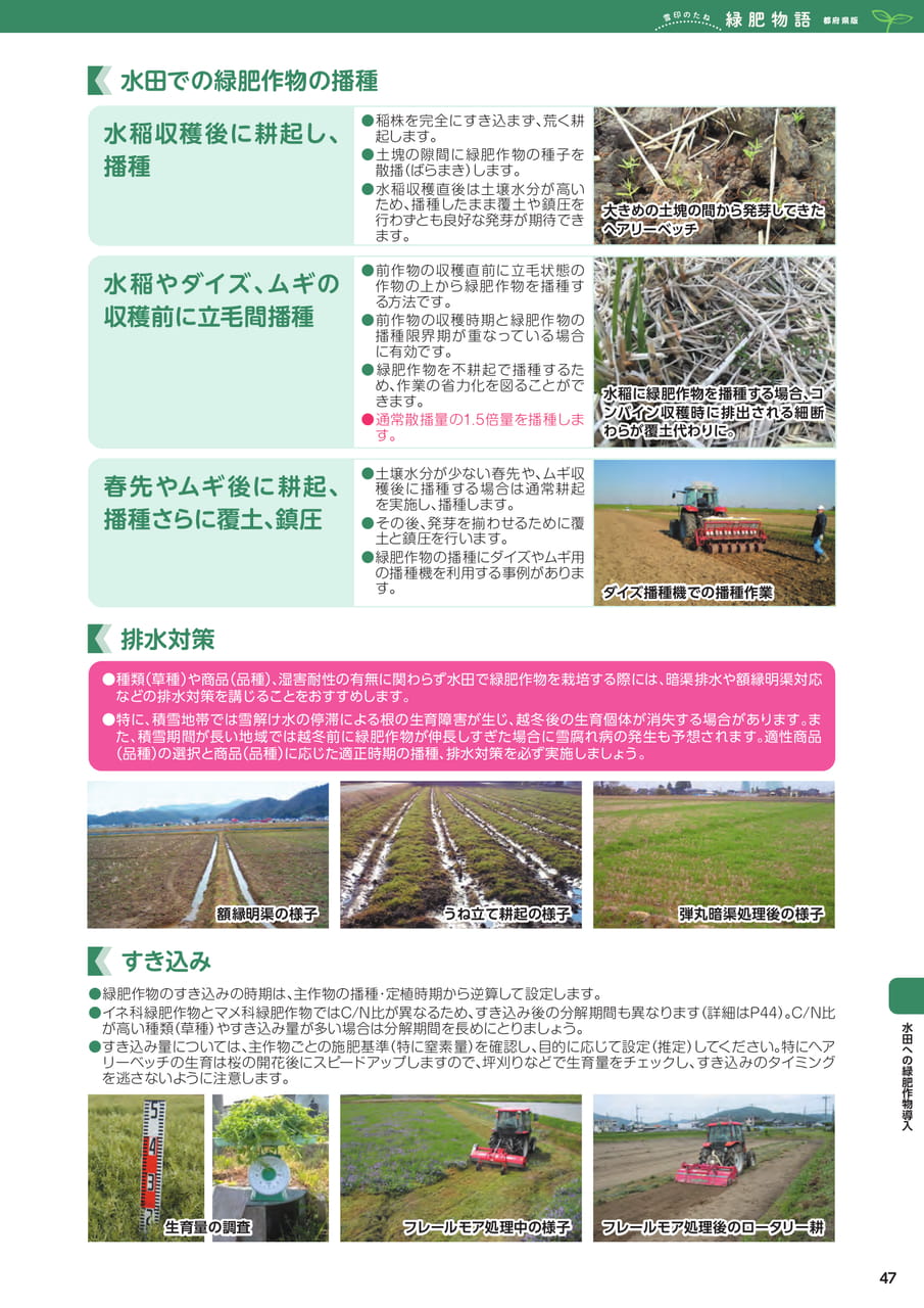 Page 47(47ページ目)