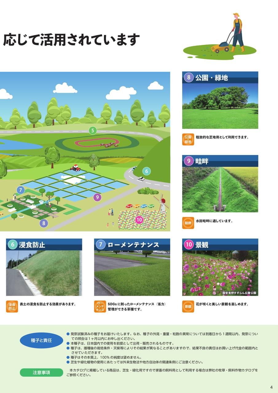 緑化用途と種子の責任(5ページ目)