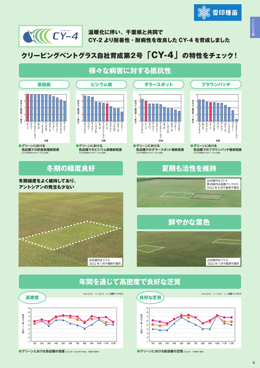 ベントグラス類(品種特性)(7ページ目)