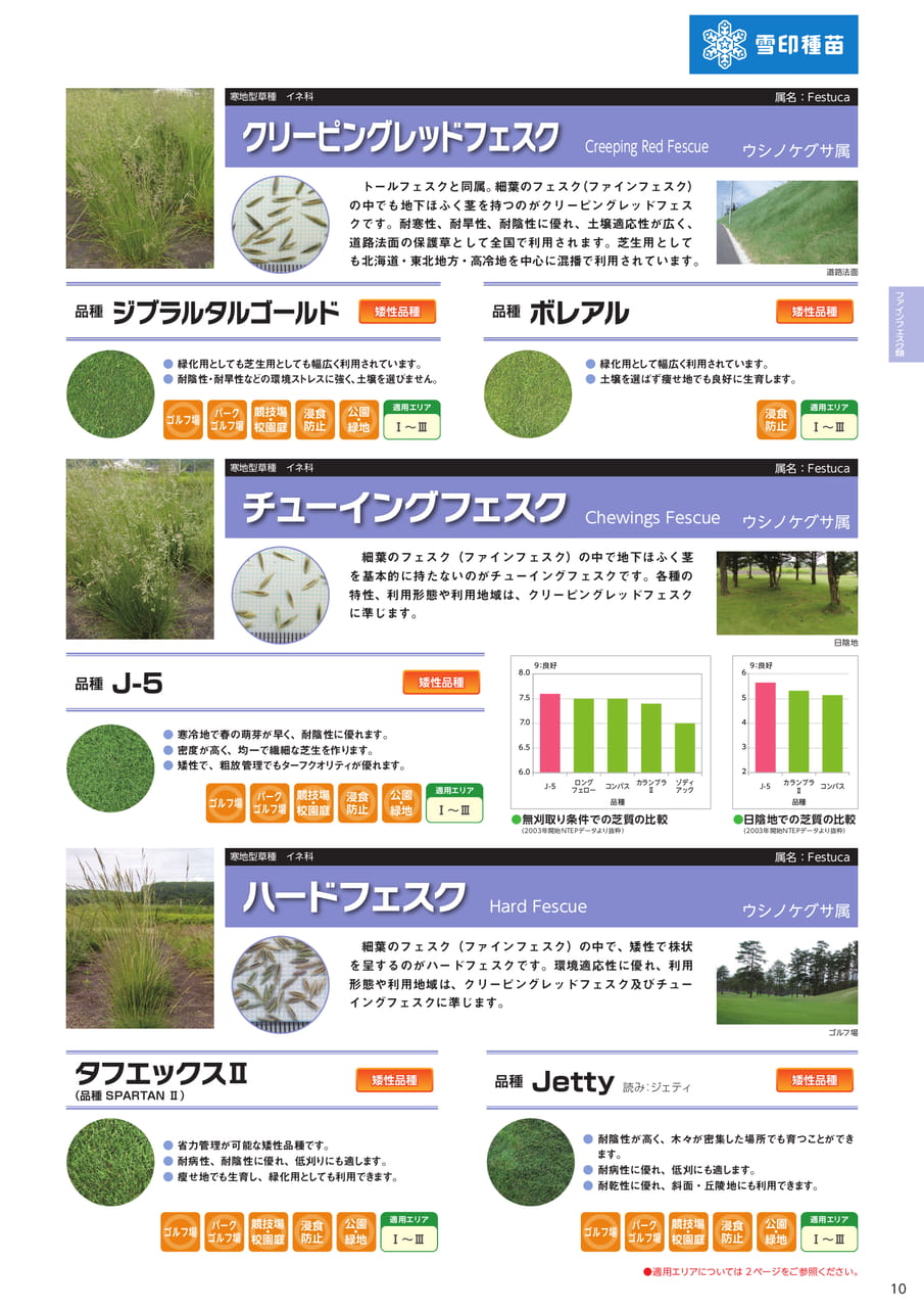 ファインフェスク類(11ページ目)