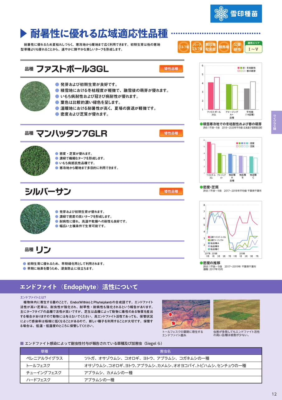 ライグラス類・エンドファイト(13ページ目)