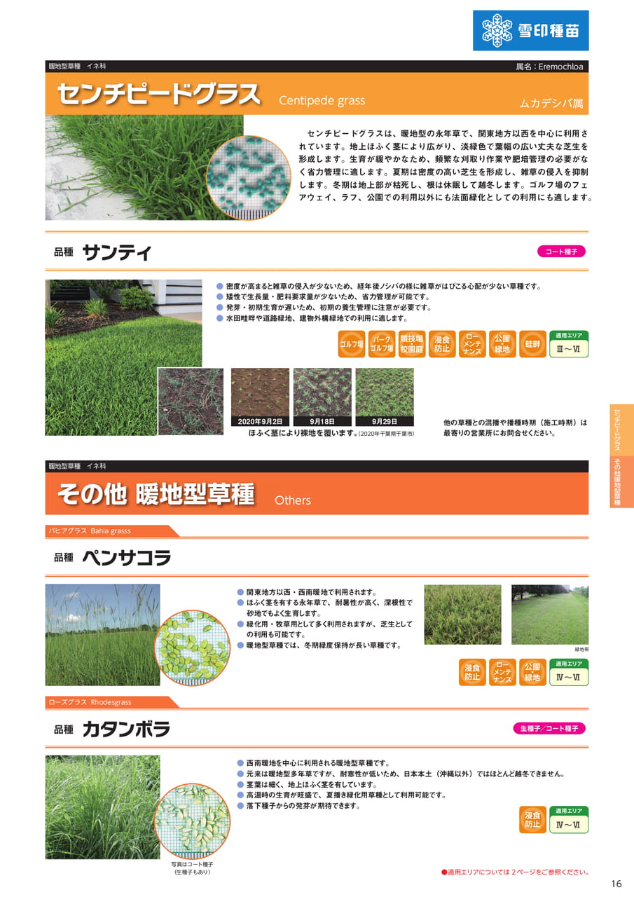 センチピードグラス・その他暖地型草種(17ページ目)
