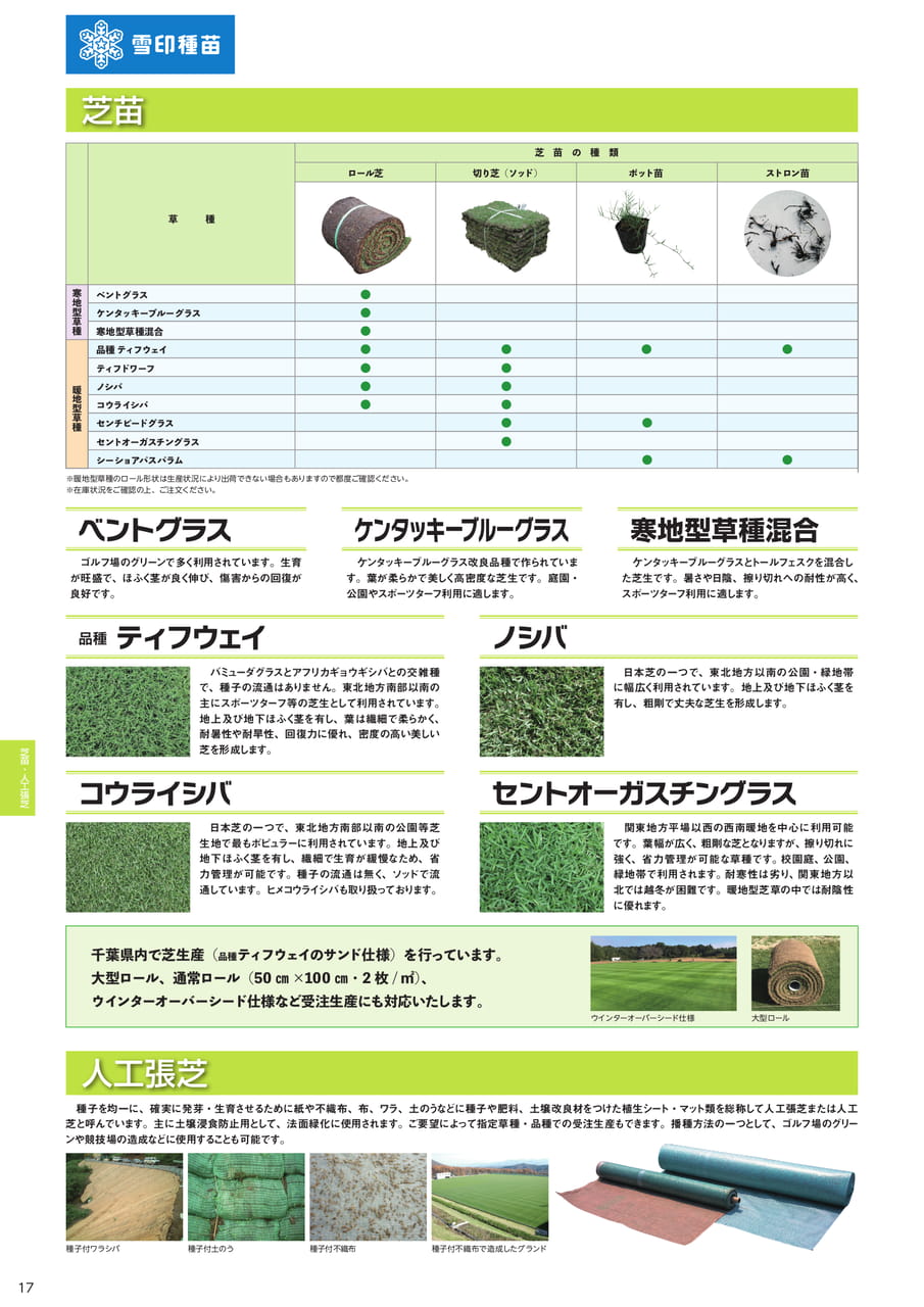 芝苗・人工張芝(18ページ目)