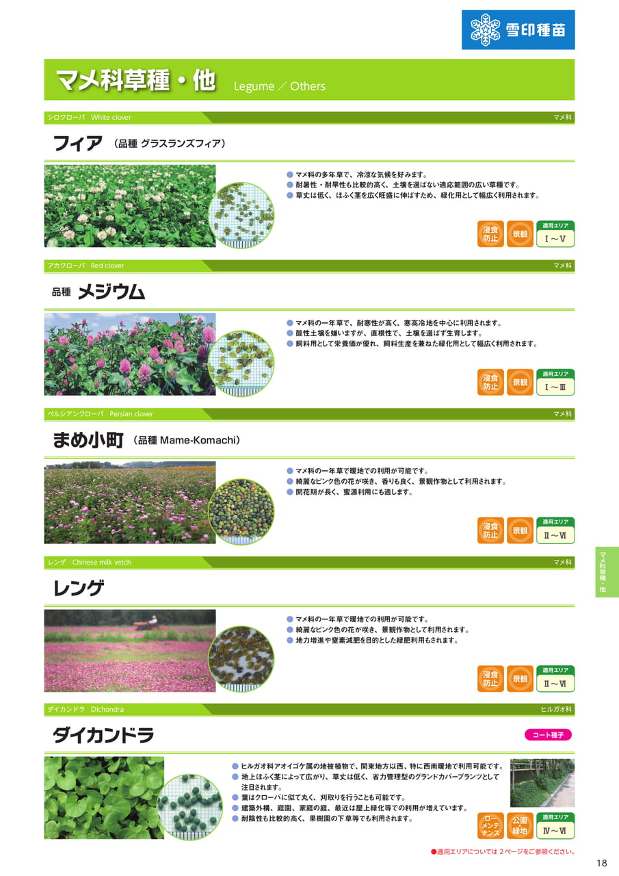 マメ科草種・他(19ページ目)