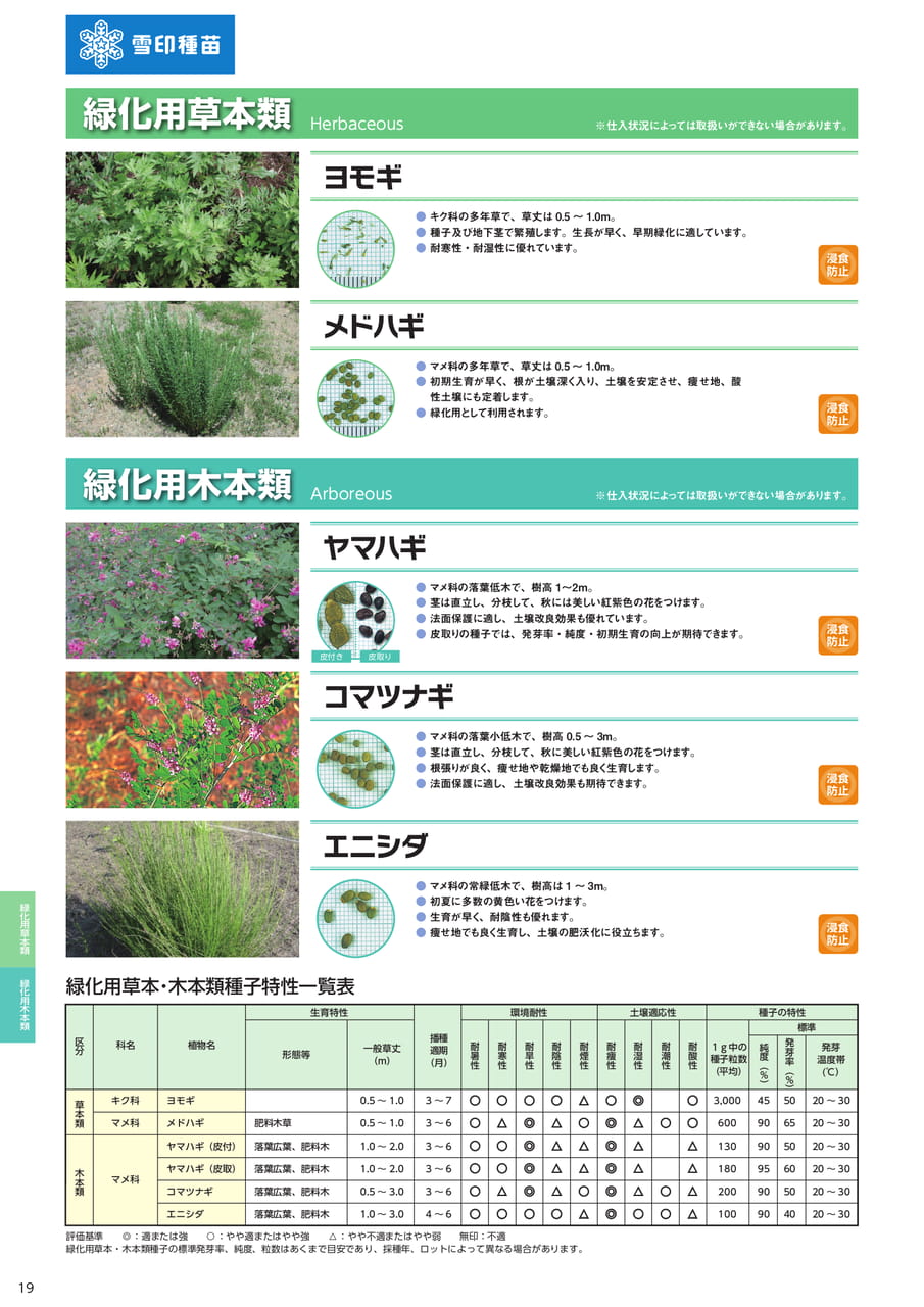 緑化用草本・木本類(20ページ目)