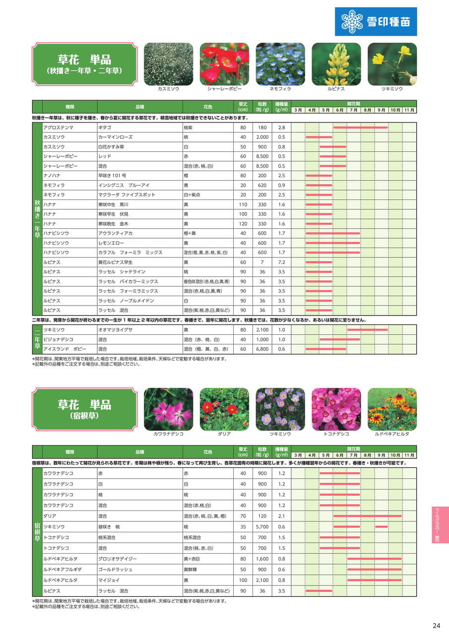 草花単品(秋播き・宿根草)(25ページ目)
