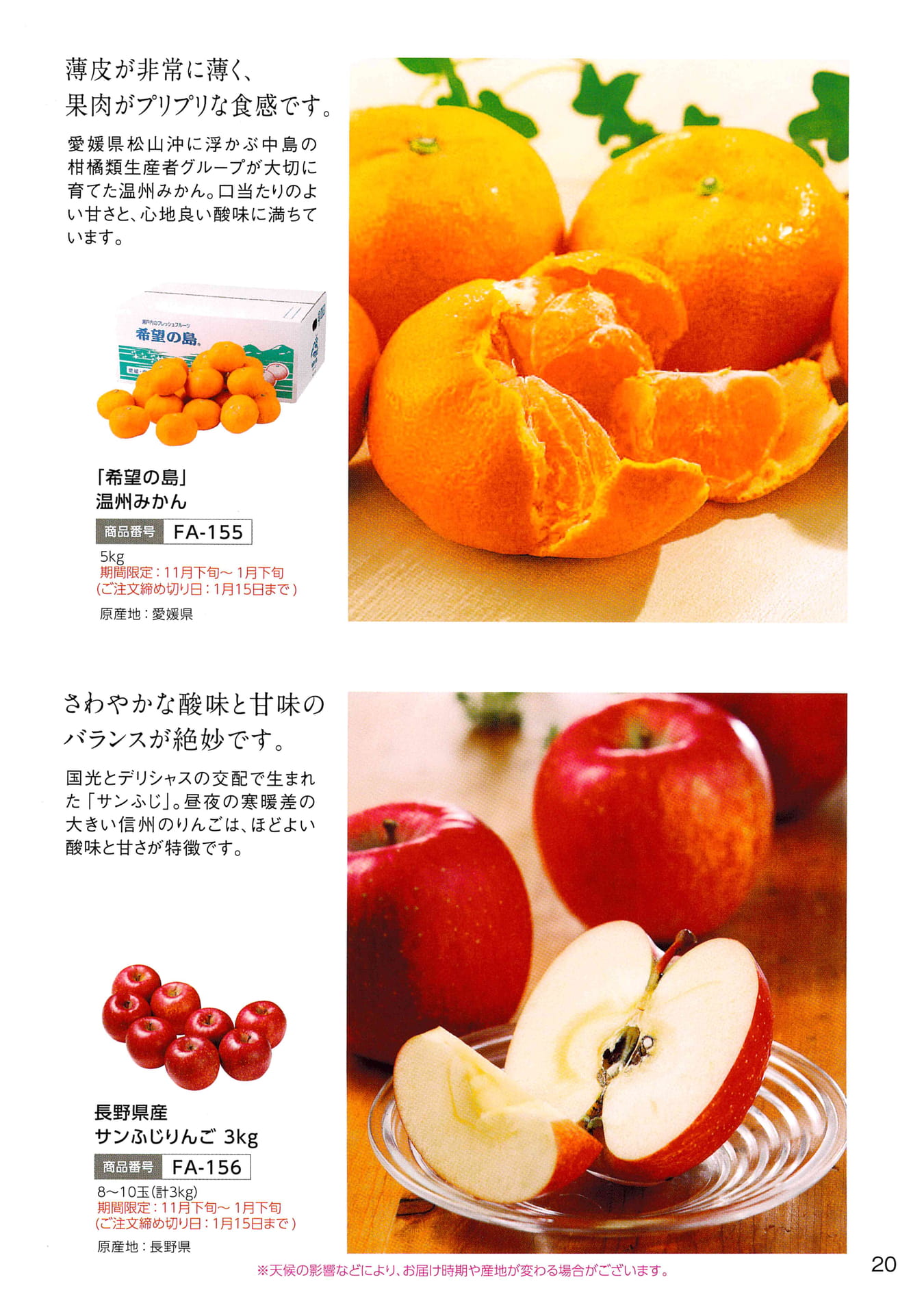 Page 22（21ページ目）