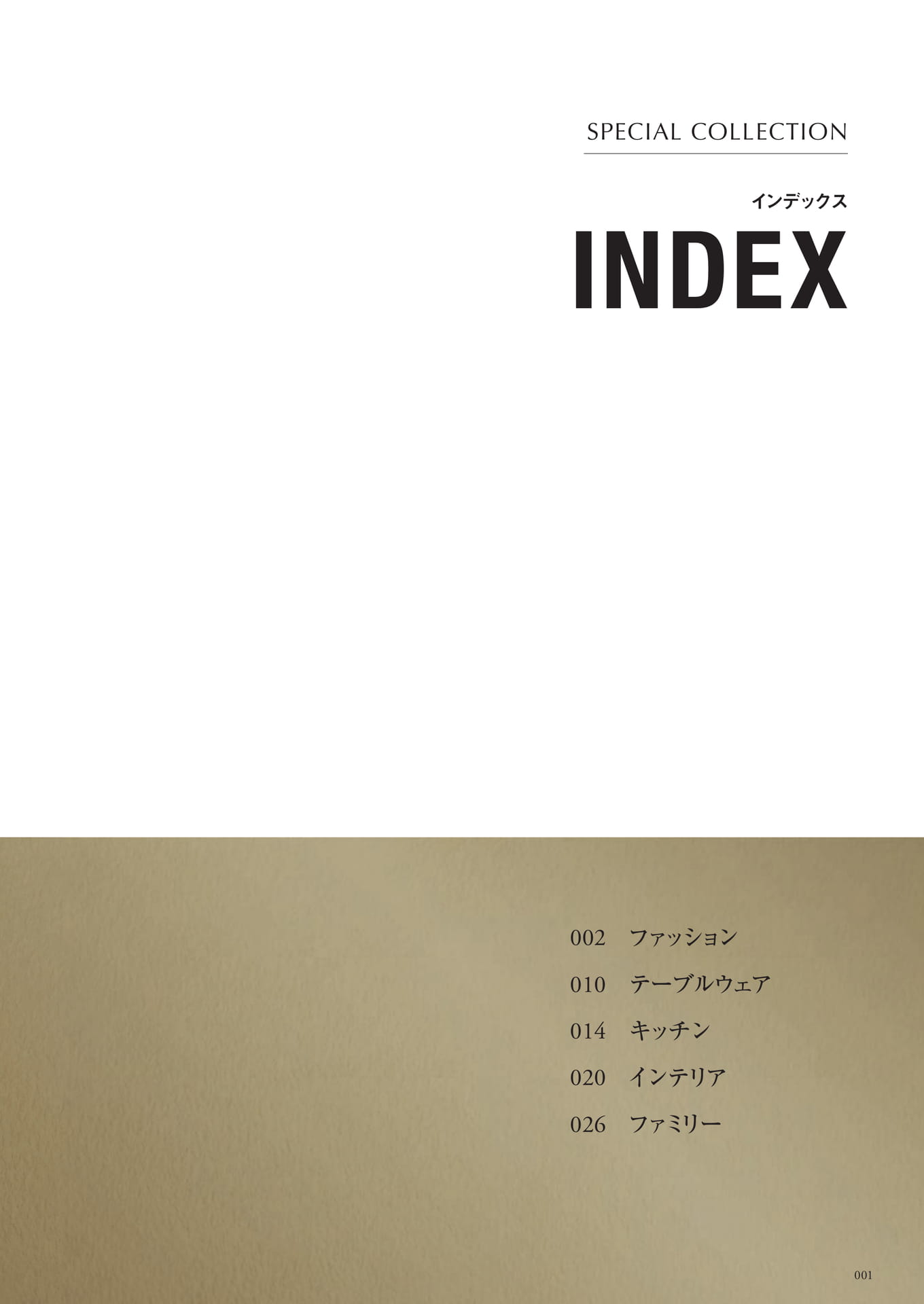 Page 45（45ページ目）