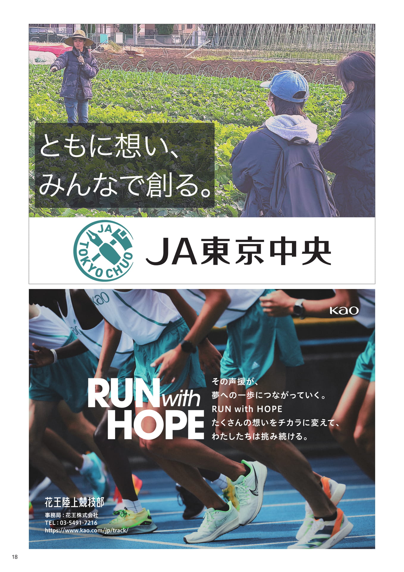 広告①（18ページ目）