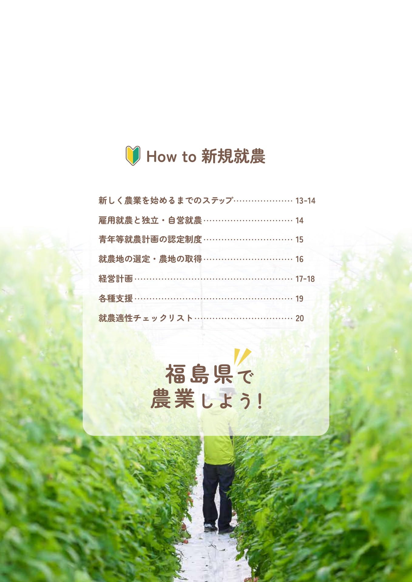 Page 14（14ページ目）