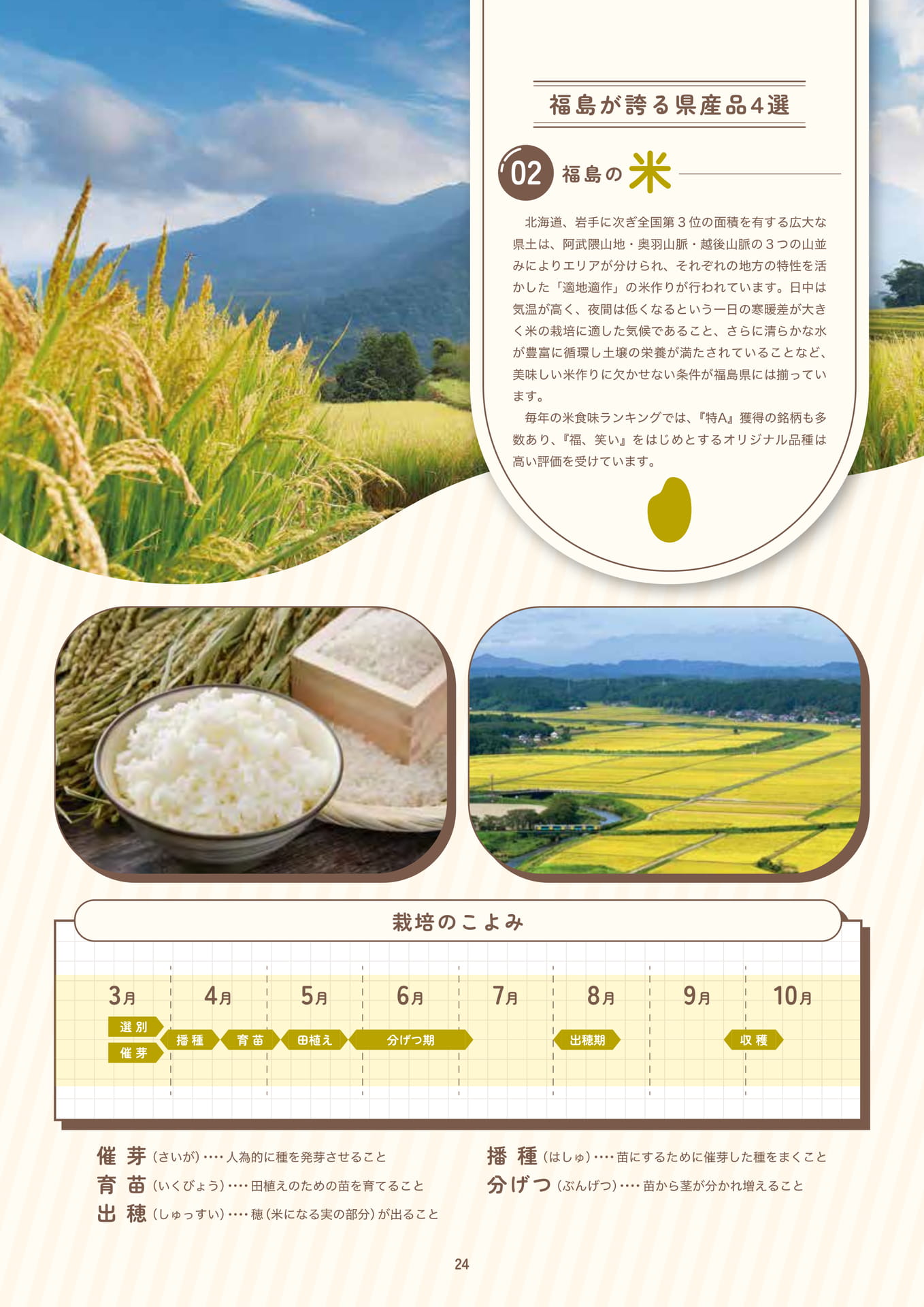 Page 26（26ページ目）