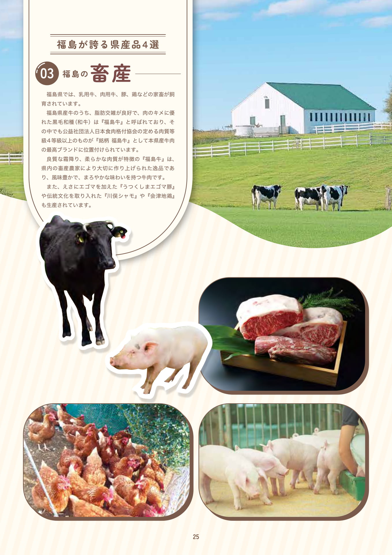 Page 27（27ページ目）