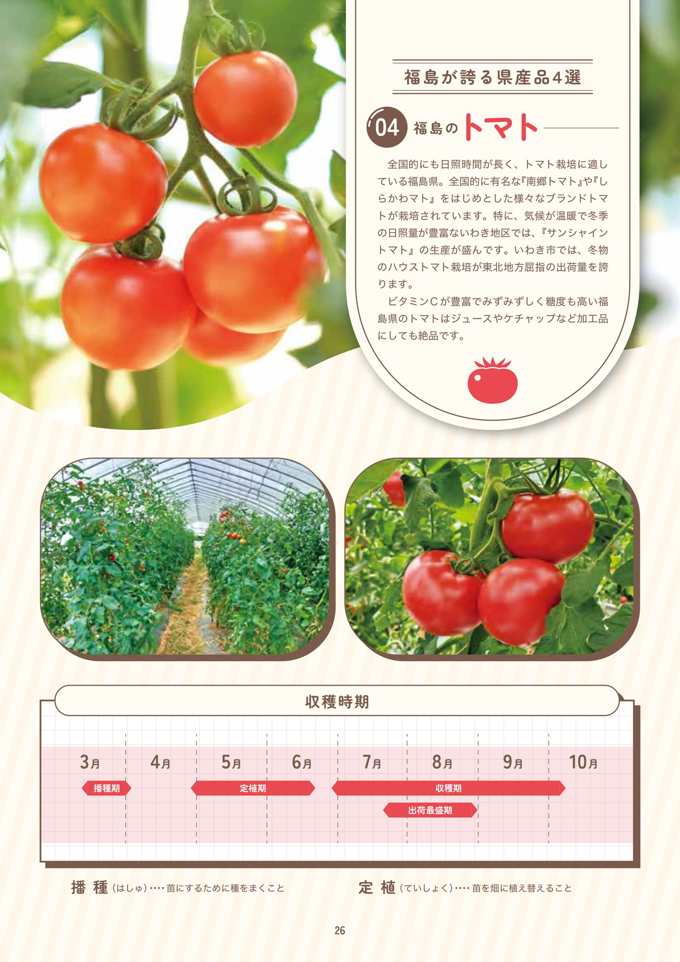 Page 28（28ページ目）