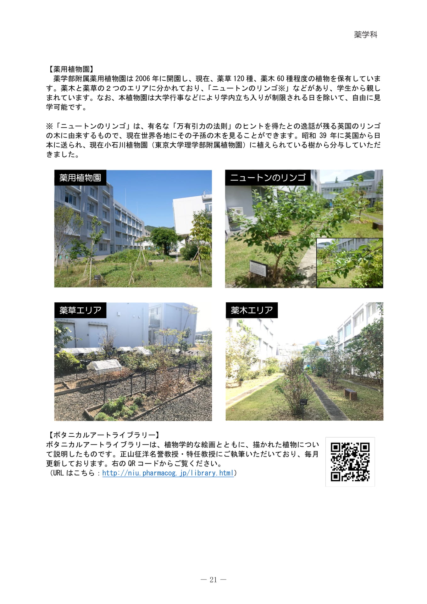 薬用植物園・ボタニカルアート（25ページ目）