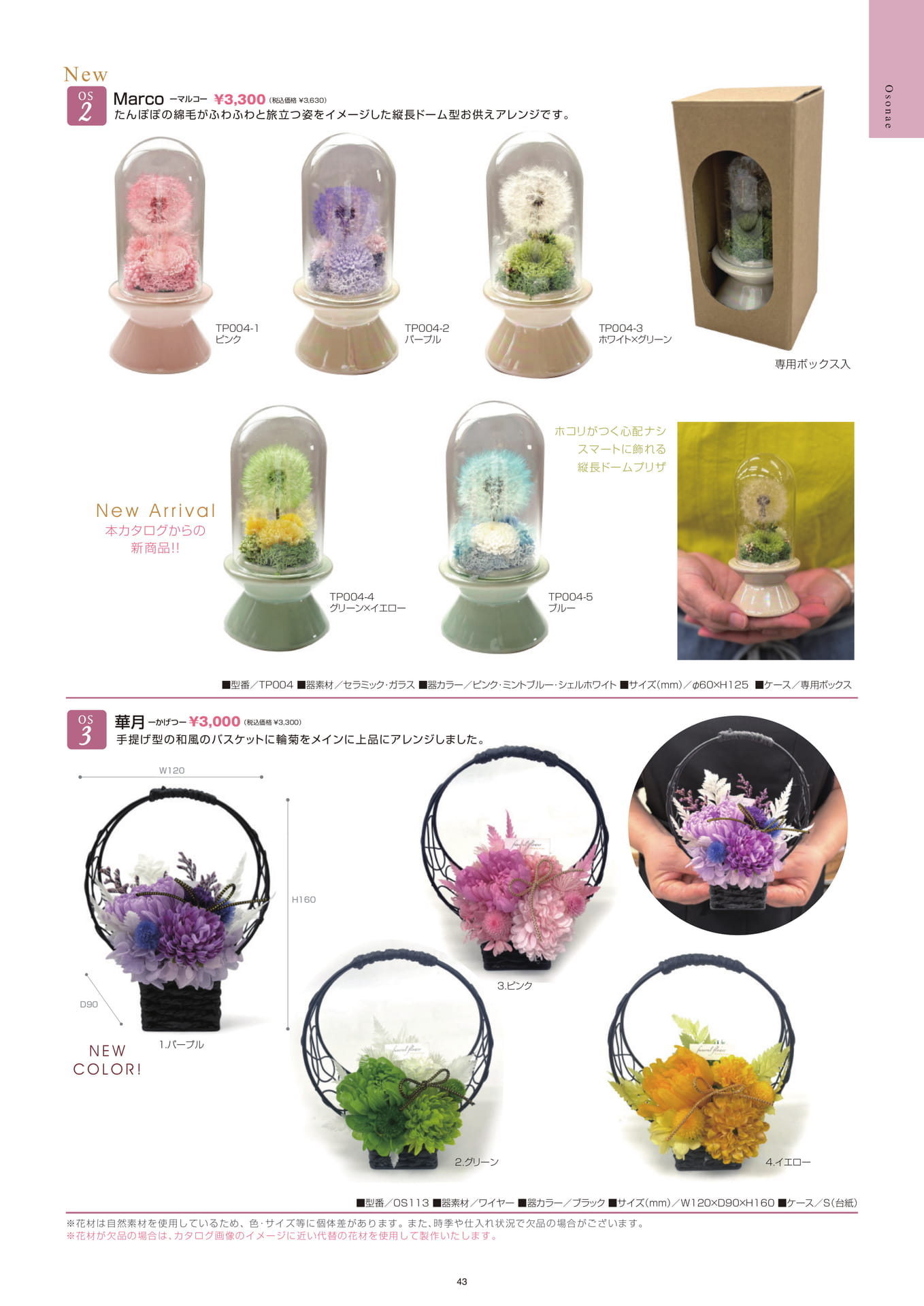 Page (追加)1(43ページ目)