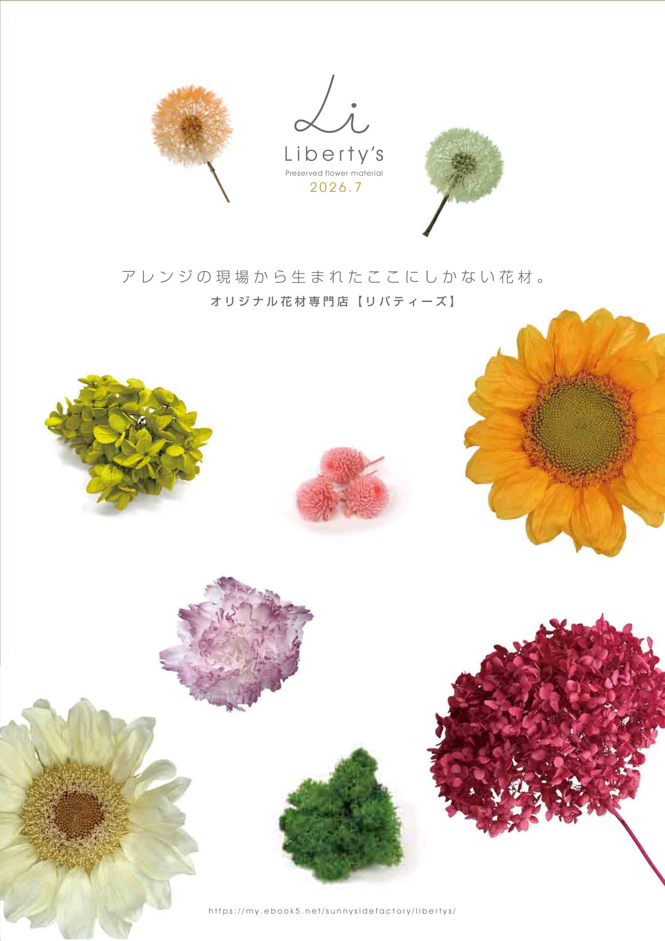 Page (追加)1(1ページ目)