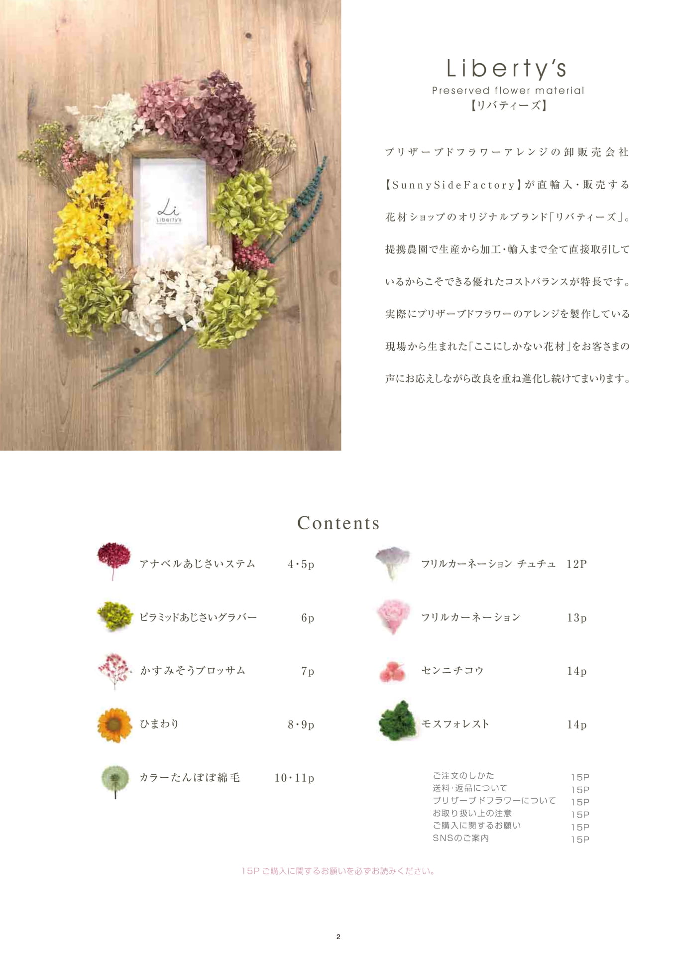 Page (追加)1(2ページ目)