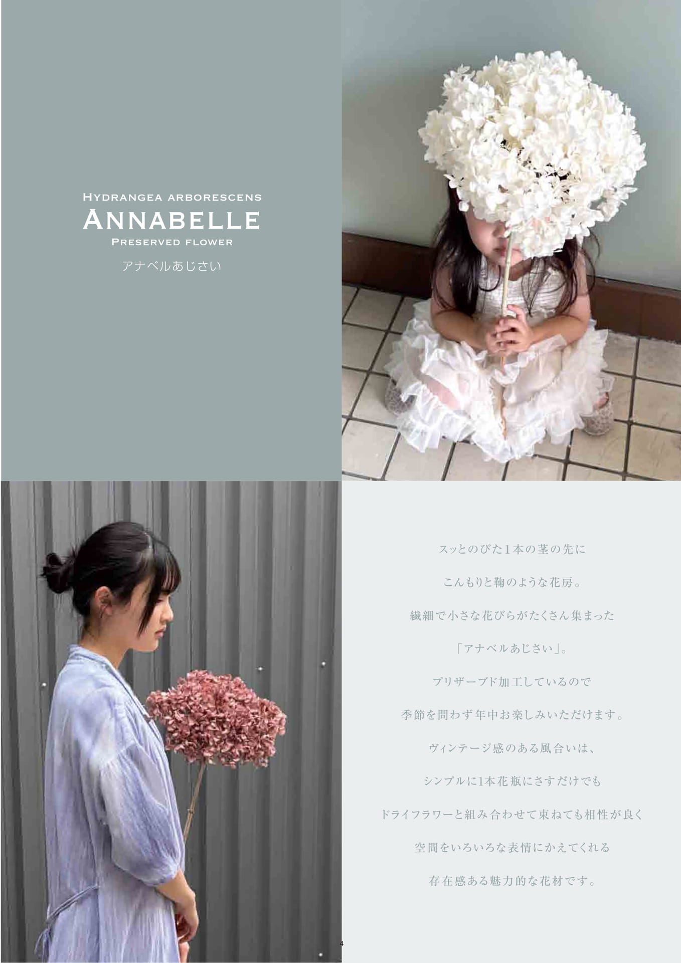 Page (追加)1(4ページ目)