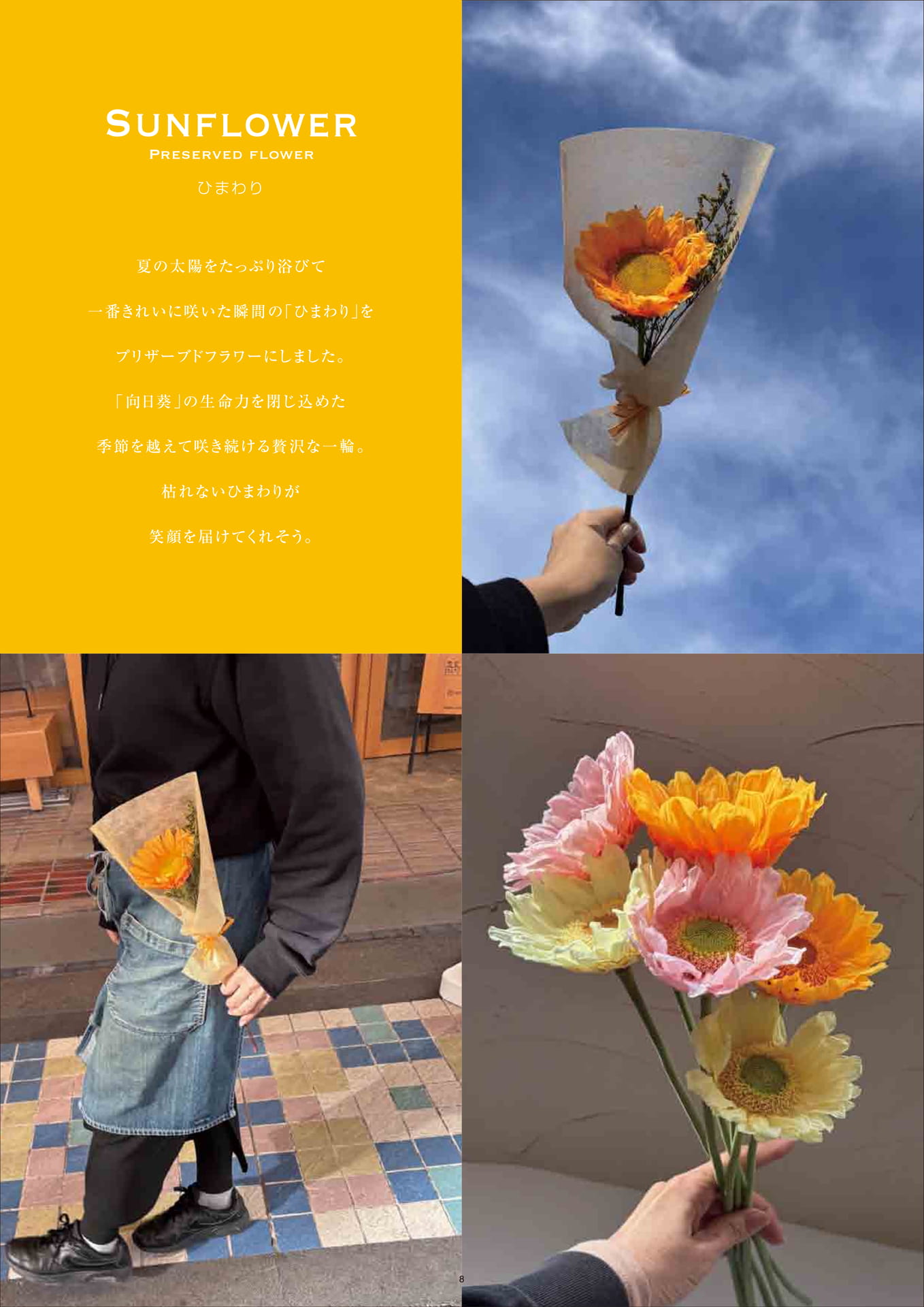 Page (追加)1(8ページ目)