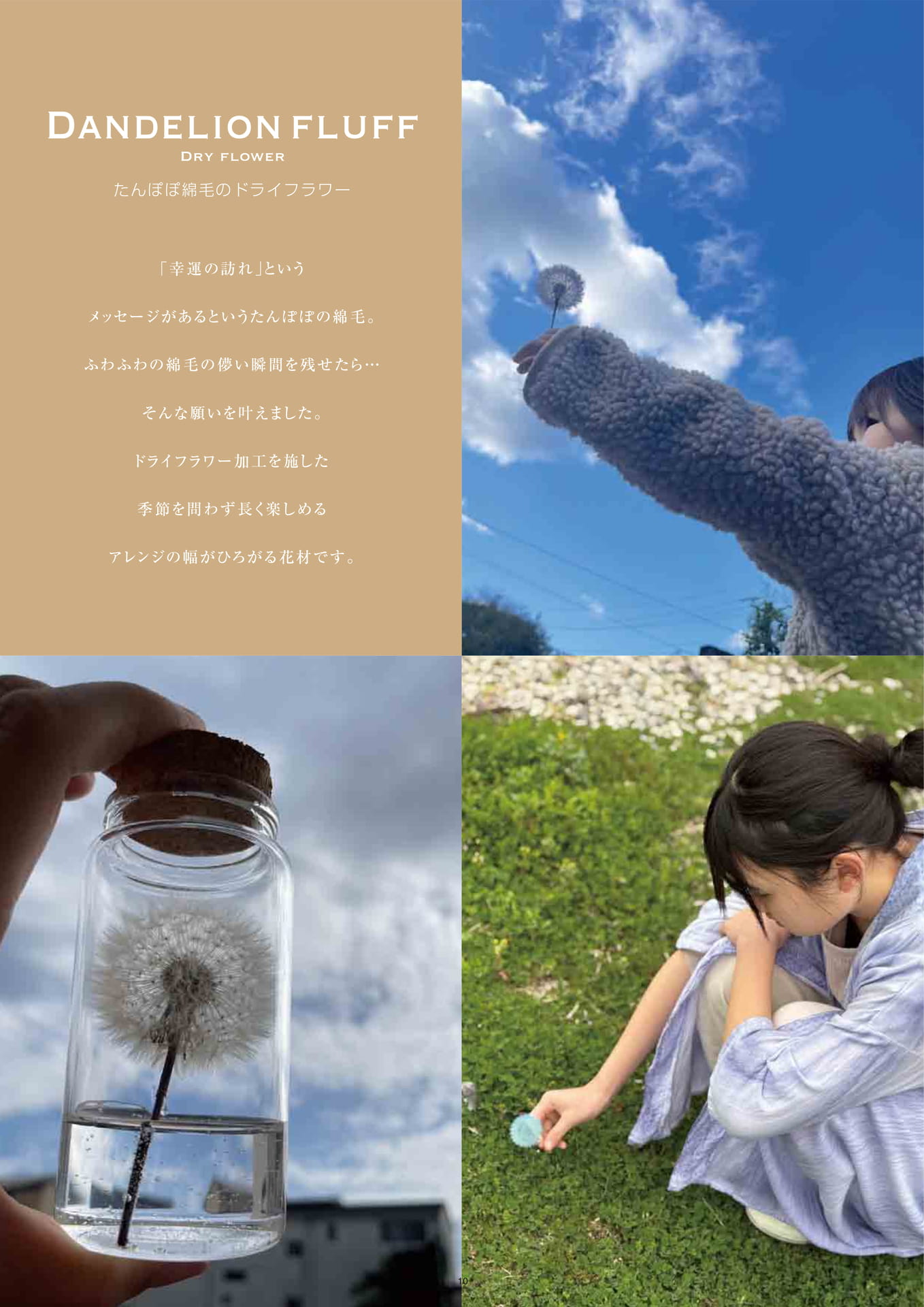 Page (追加)1(10ページ目)
