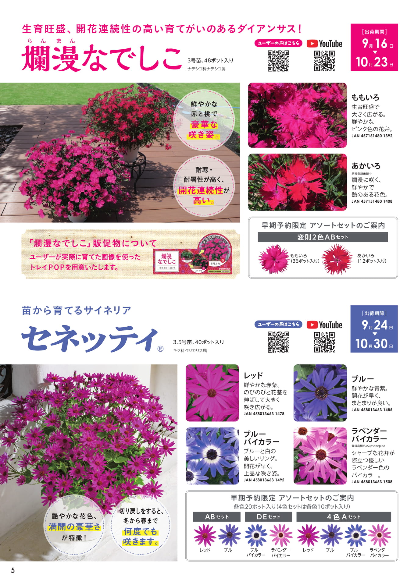 爛漫なでしこ、セネッティ(6ページ目)