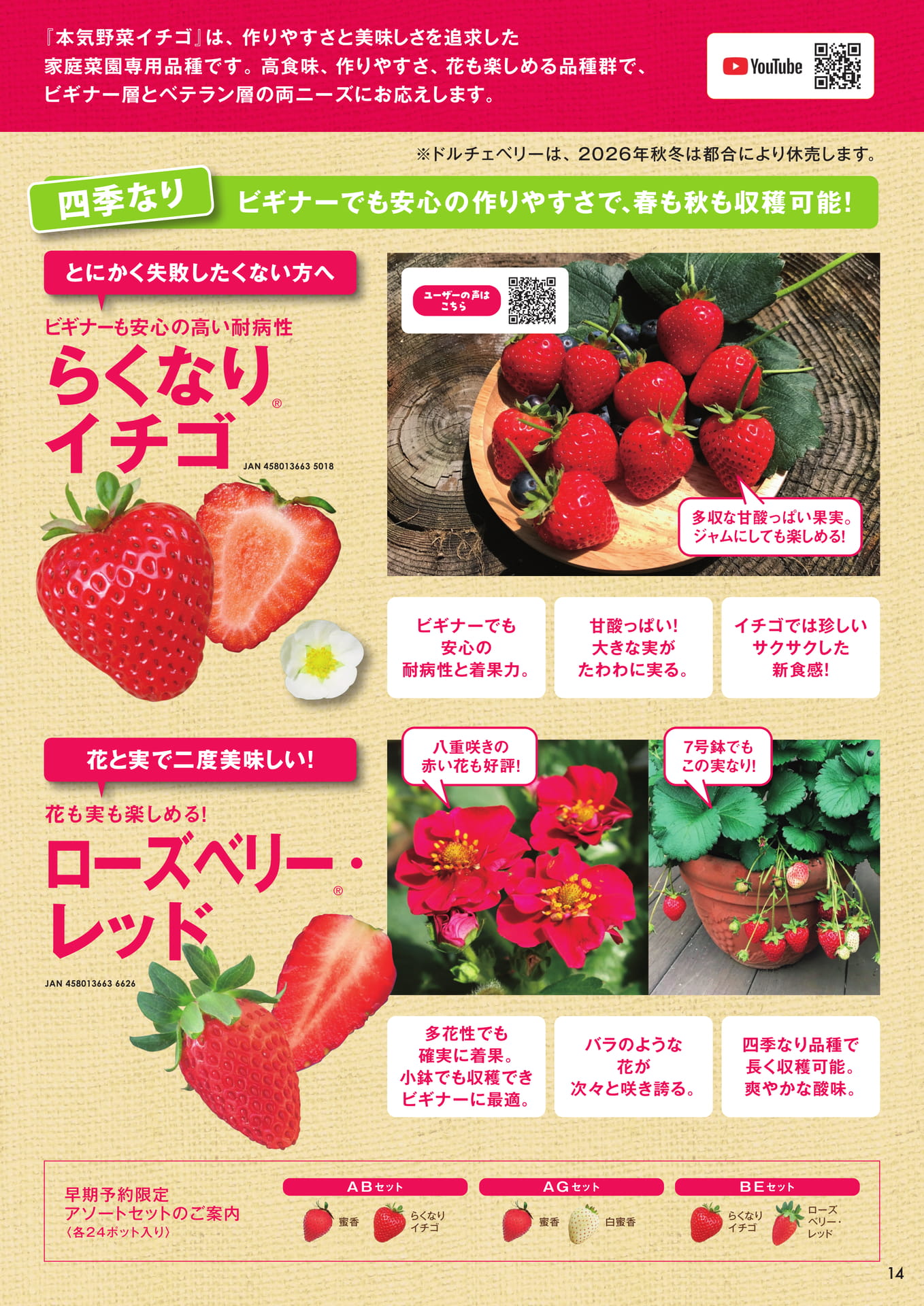 本気野菜イチゴ(2/2)(15ページ目)