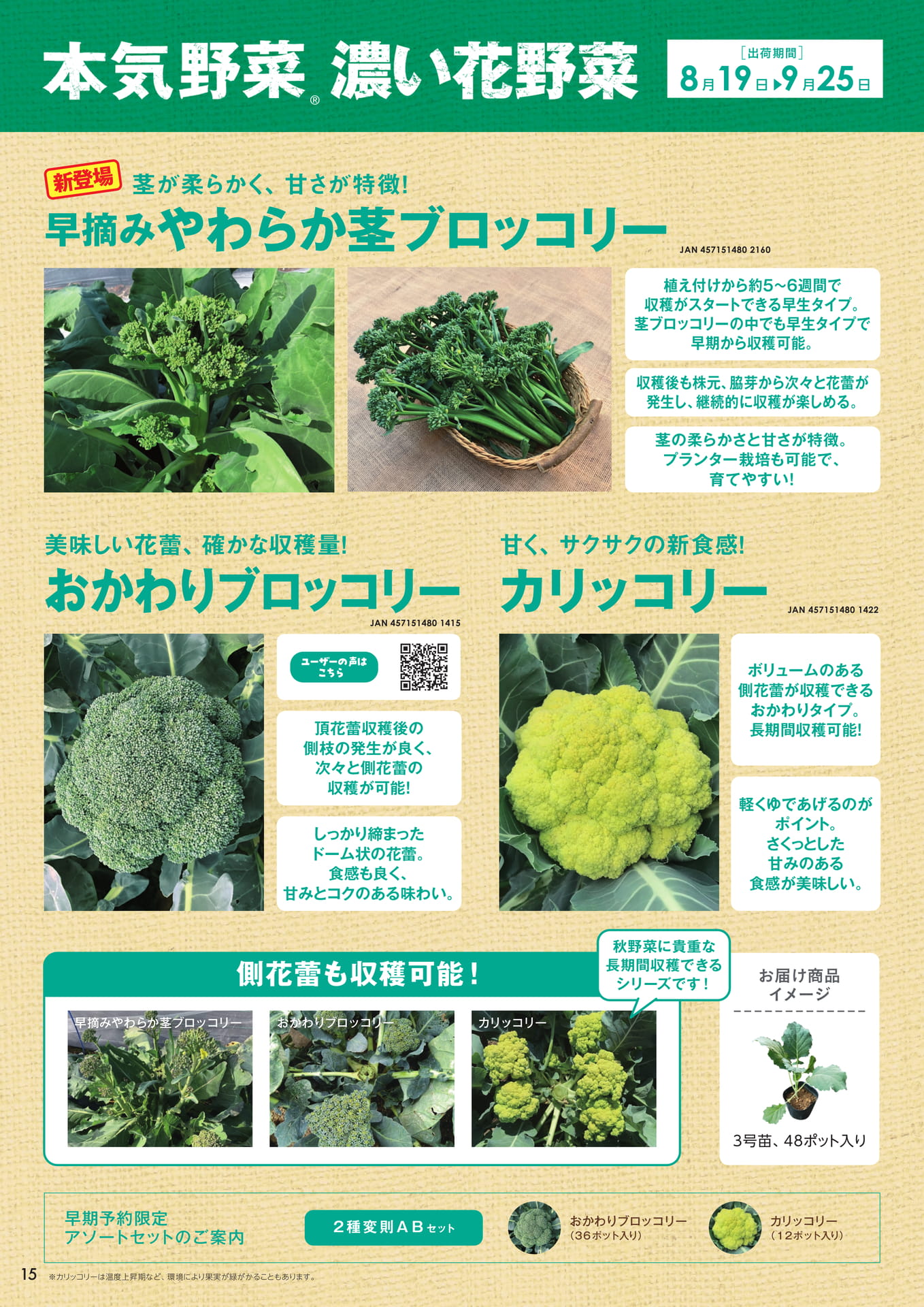 本気野菜濃い花野菜(16ページ目)
