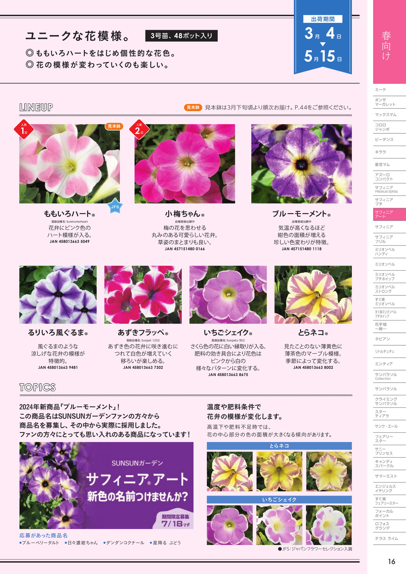 サフィニアアート(2/2)(17ページ目)