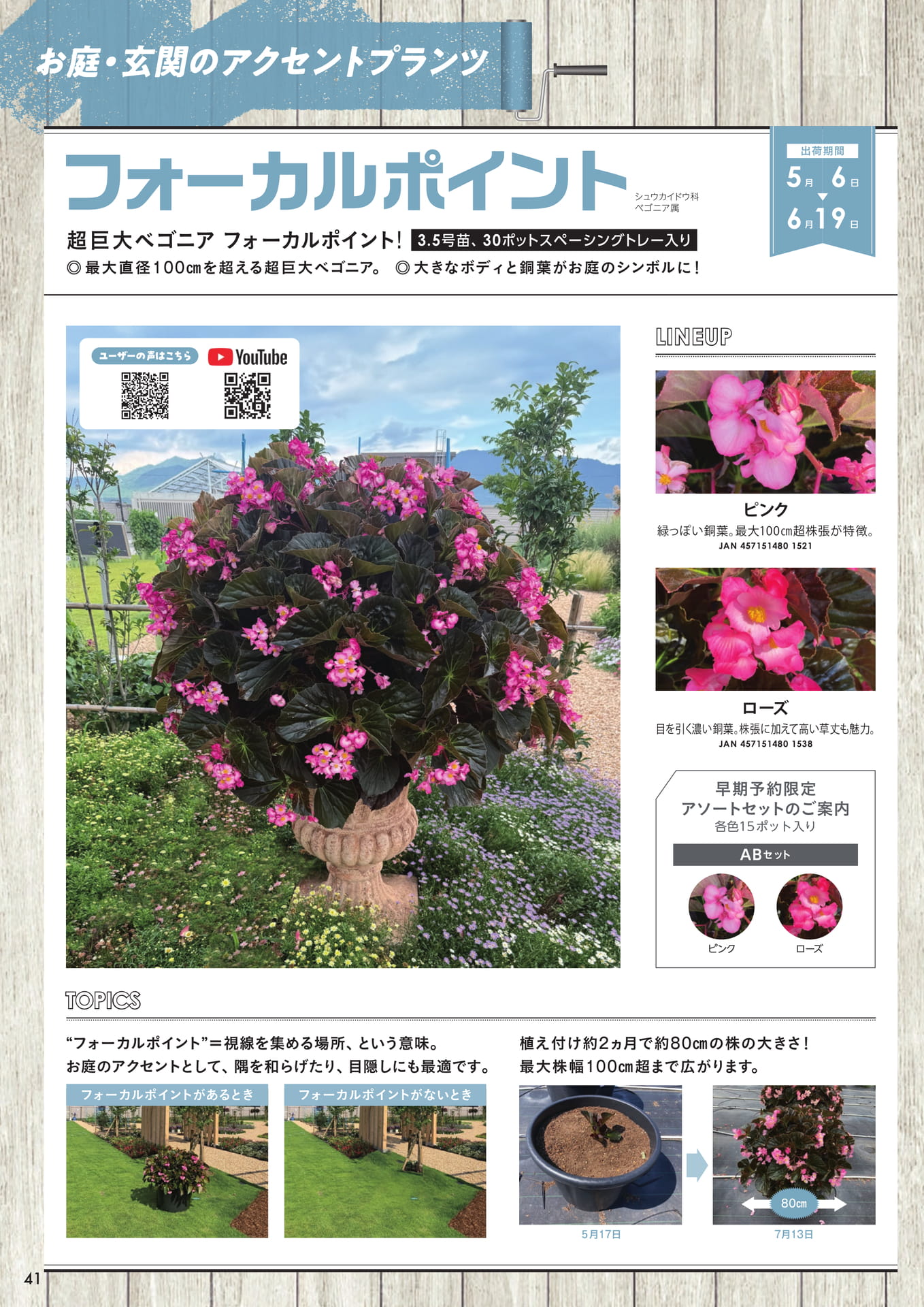 フォーカルポイント(42ページ目)