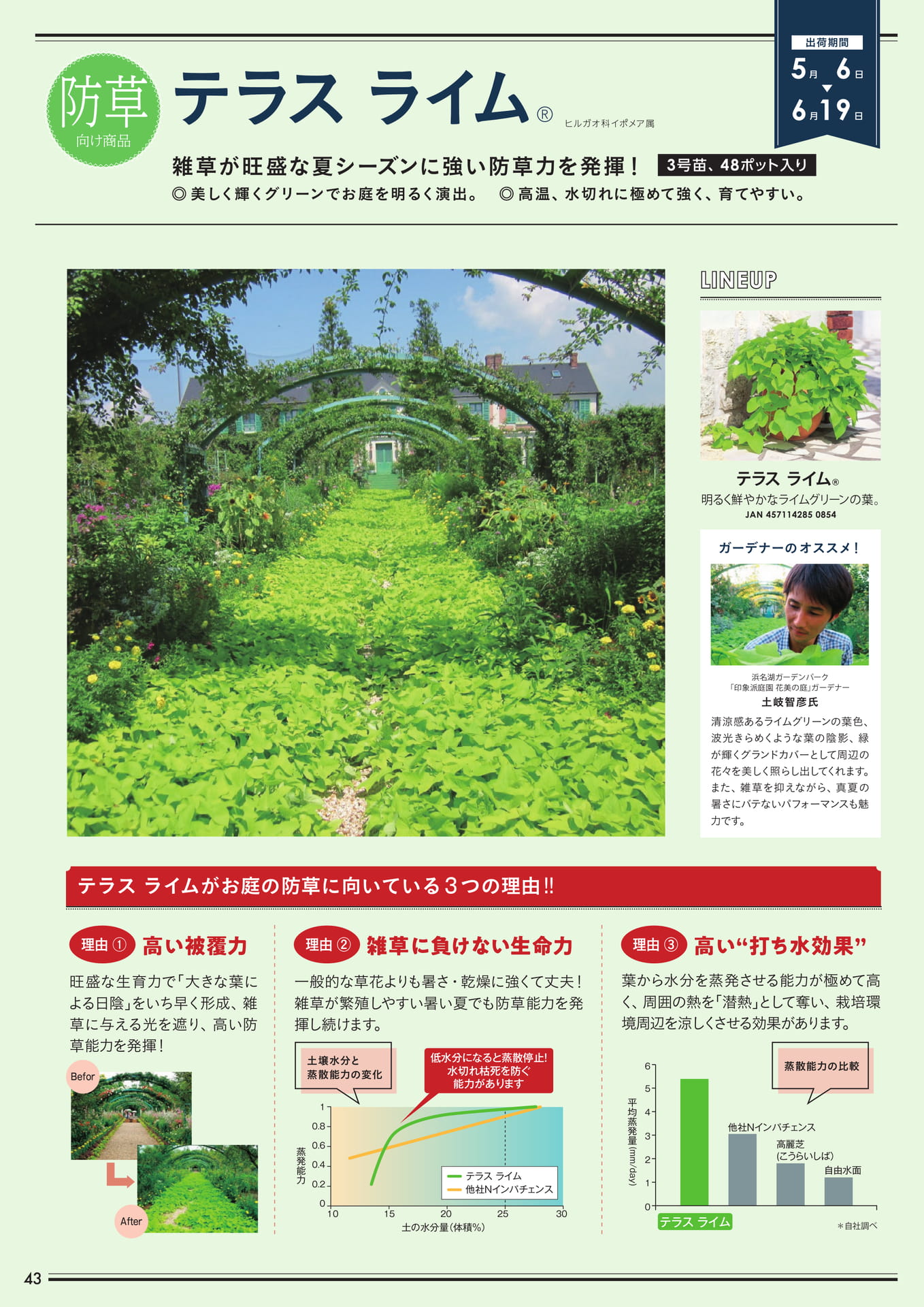 テラスライム(44ページ目)