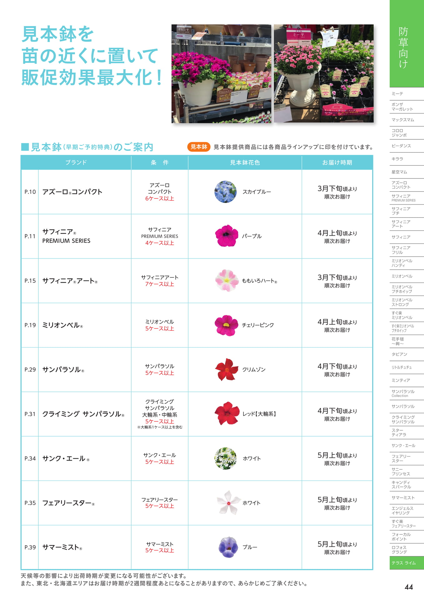 見本鉢(45ページ目)