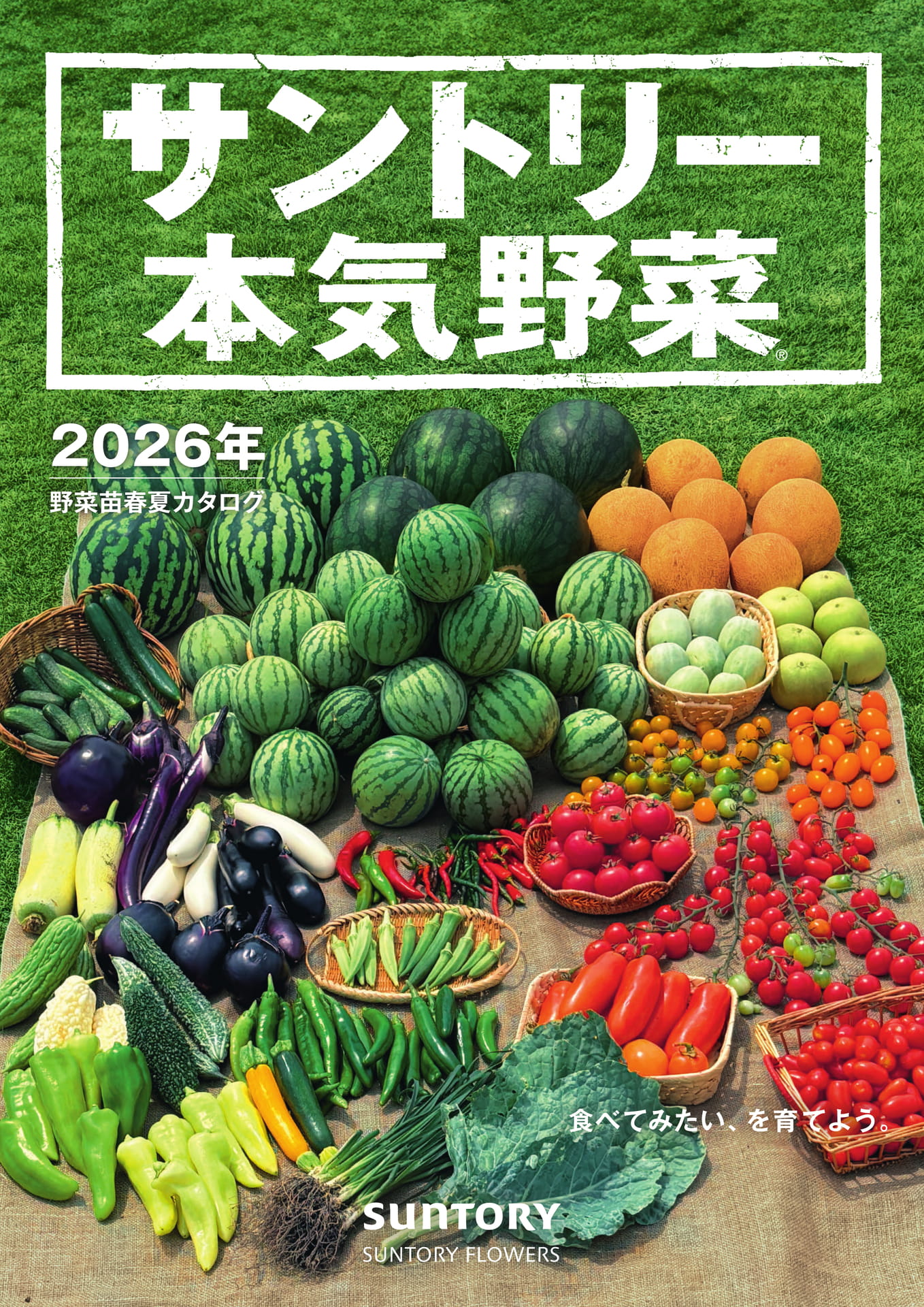 表紙(1ページ目)
