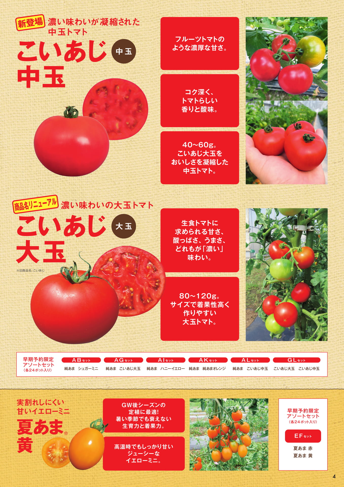 本気野菜トマト(4/6)あまさセレクト、夏植えトマト(5ページ目)