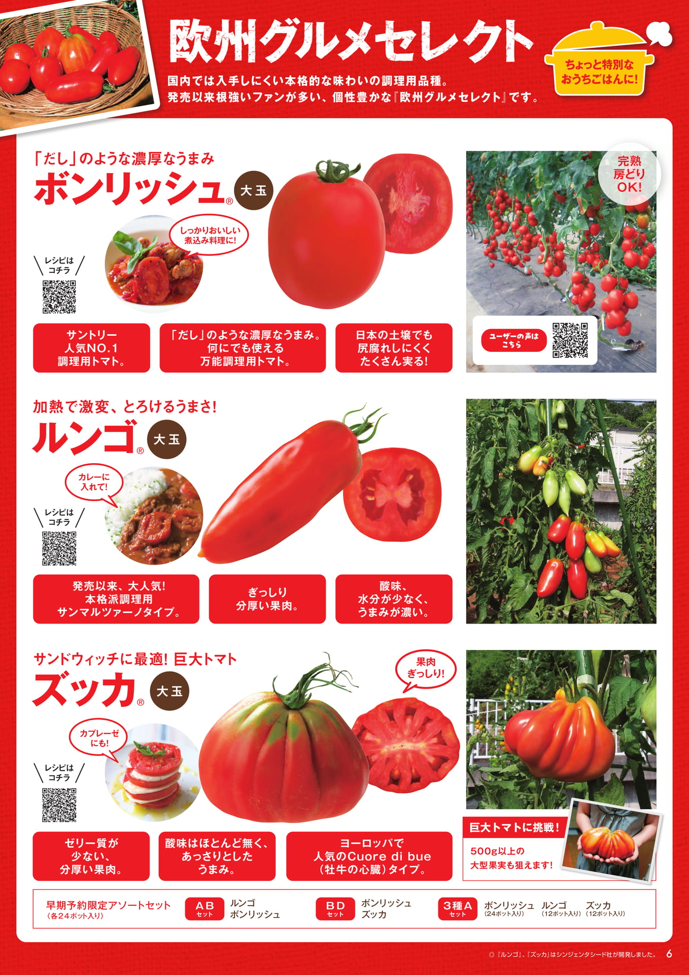 本気野菜トマト(6/6)欧州グルメセット(7ページ目)