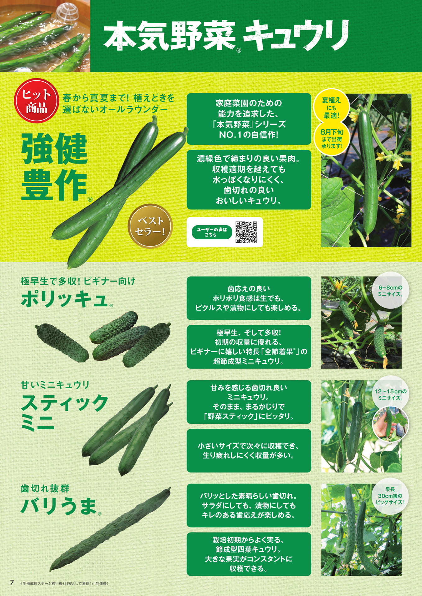 本気野菜キュウリ(1/3)(8ページ目)