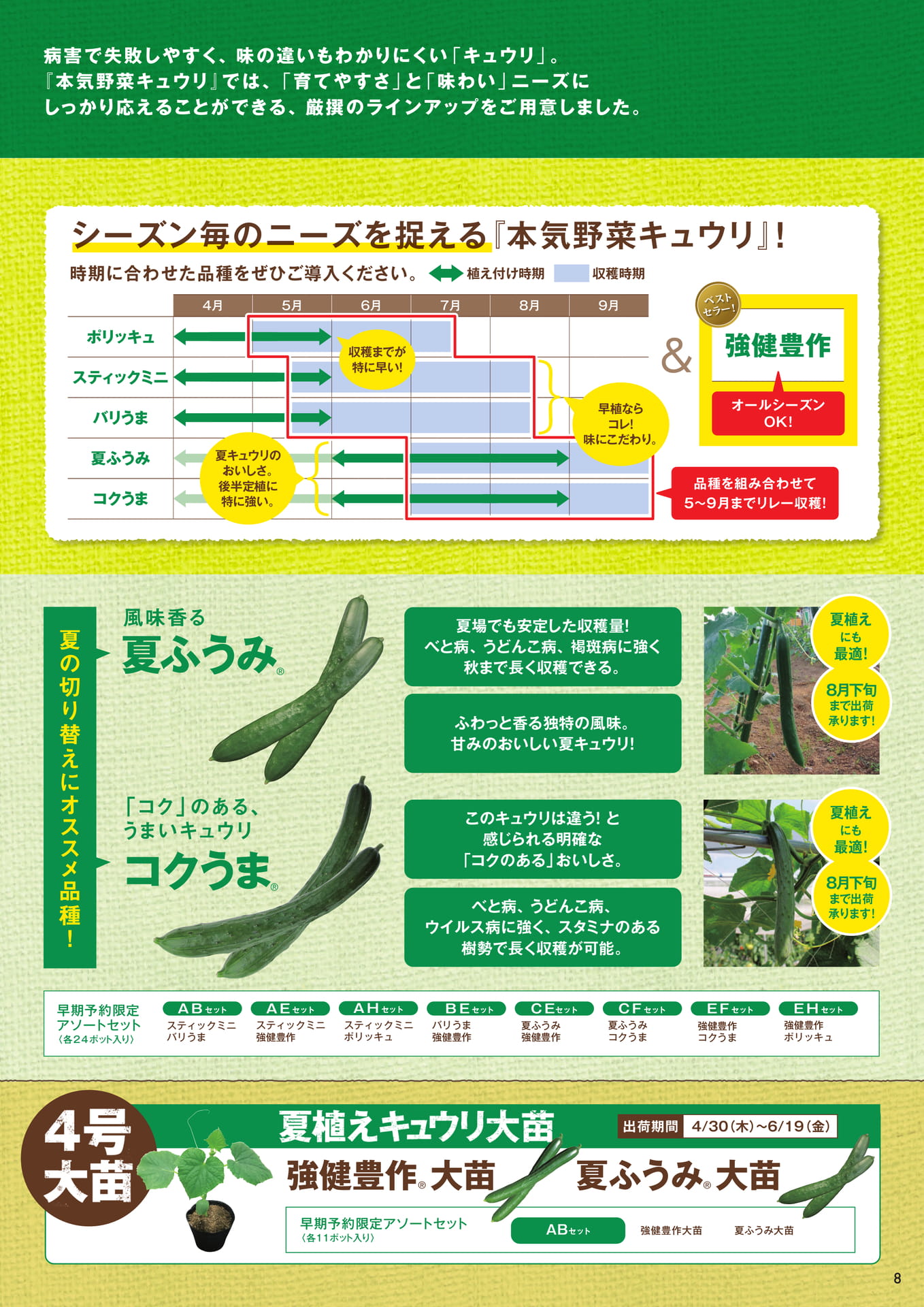 本気野菜キュウリ(2/3)(9ページ目)