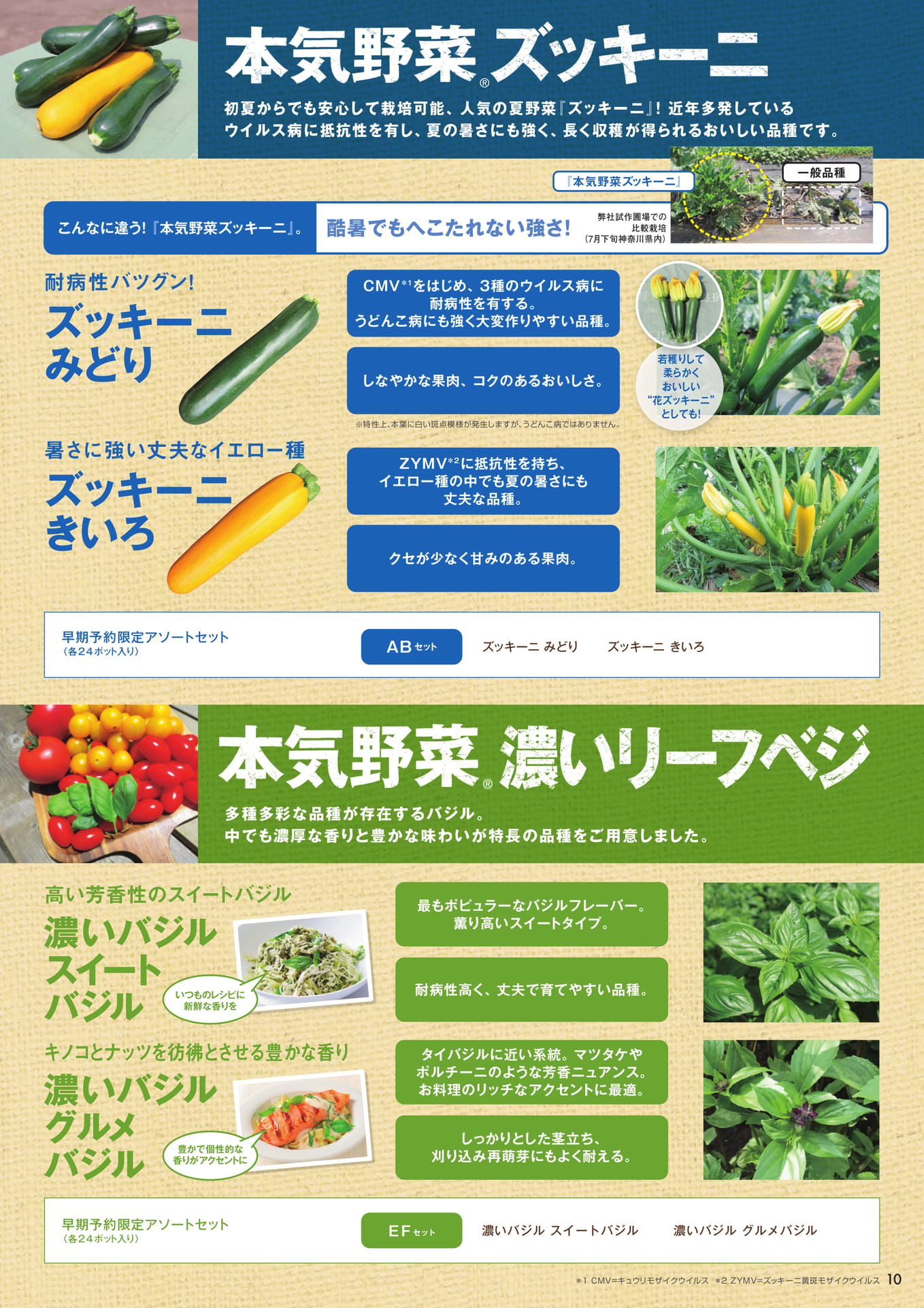 本気野菜ズッキーニ、濃いリーフベジ(11ページ目)
