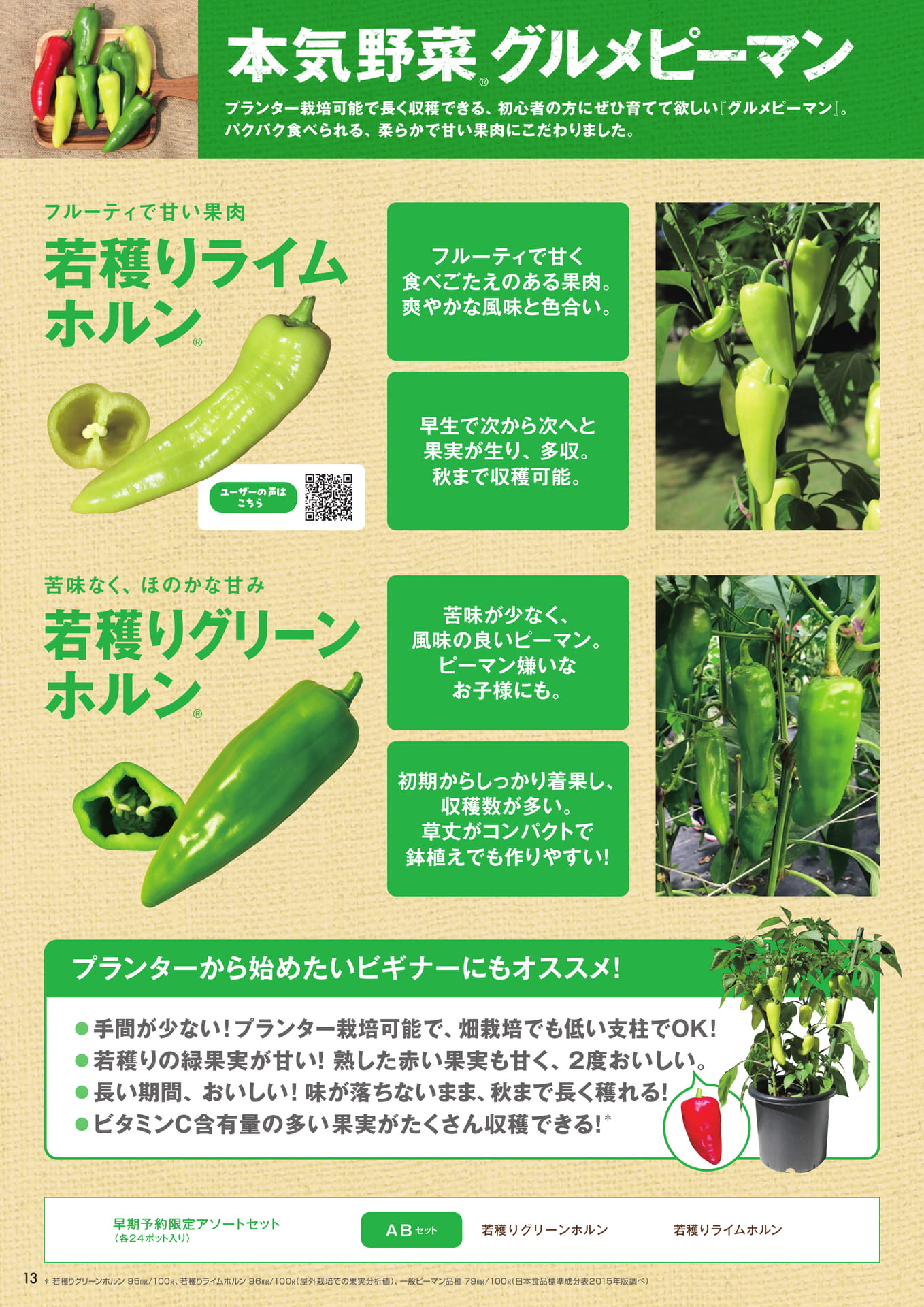 本気野菜グルメピーマン(14ページ目)