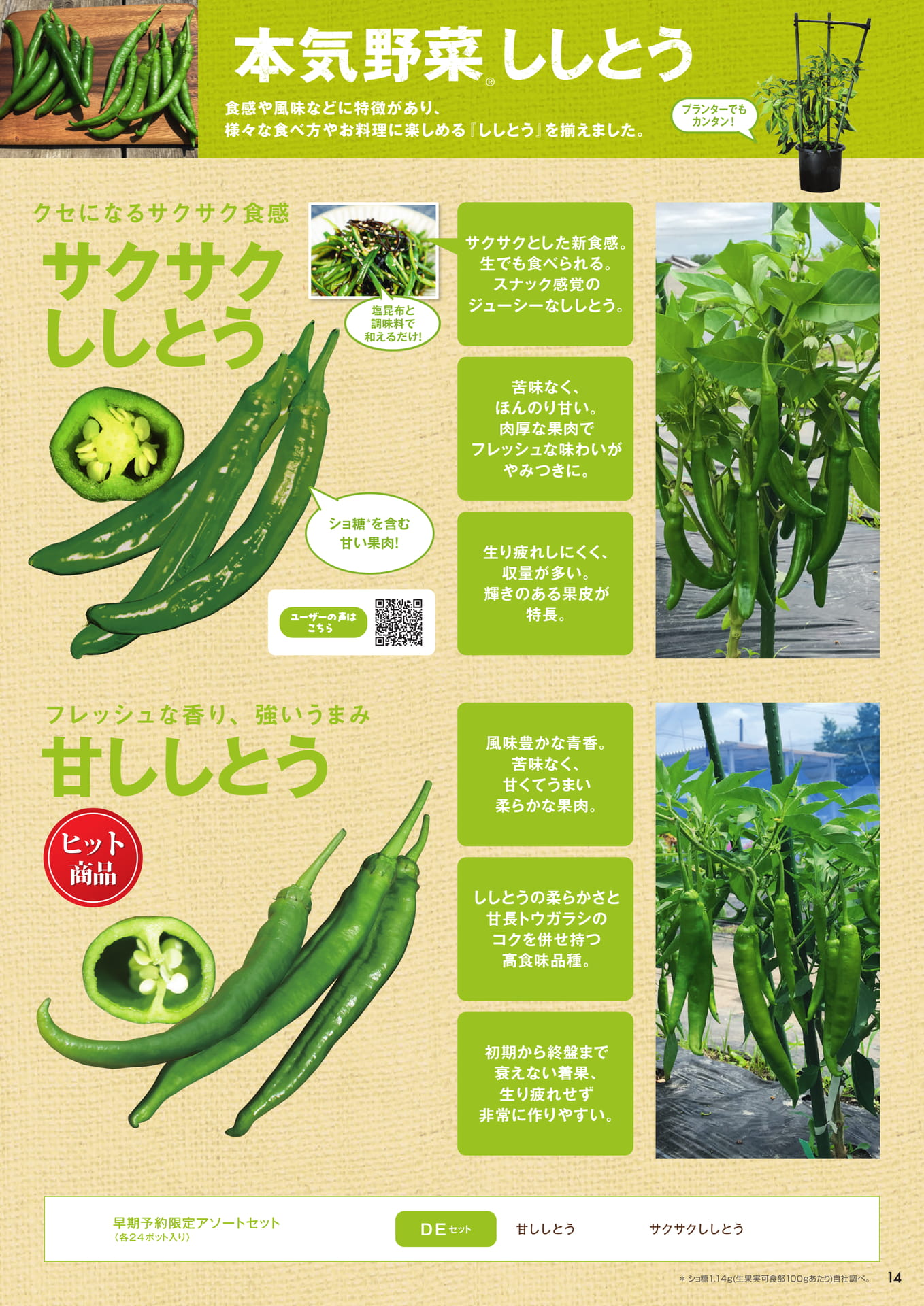 本気野菜ししとう(15ページ目)