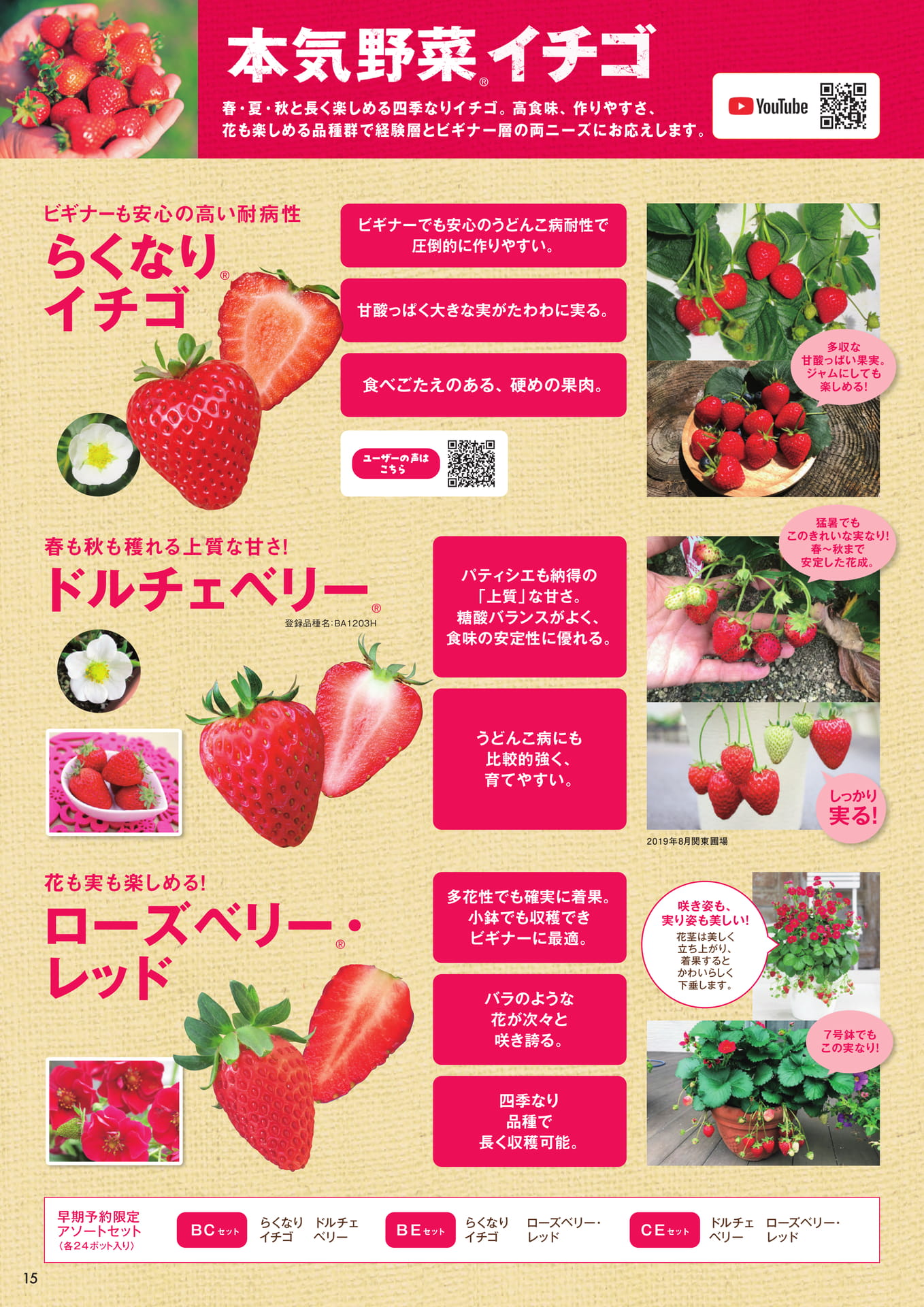 本気野菜イチゴ(16ページ目)