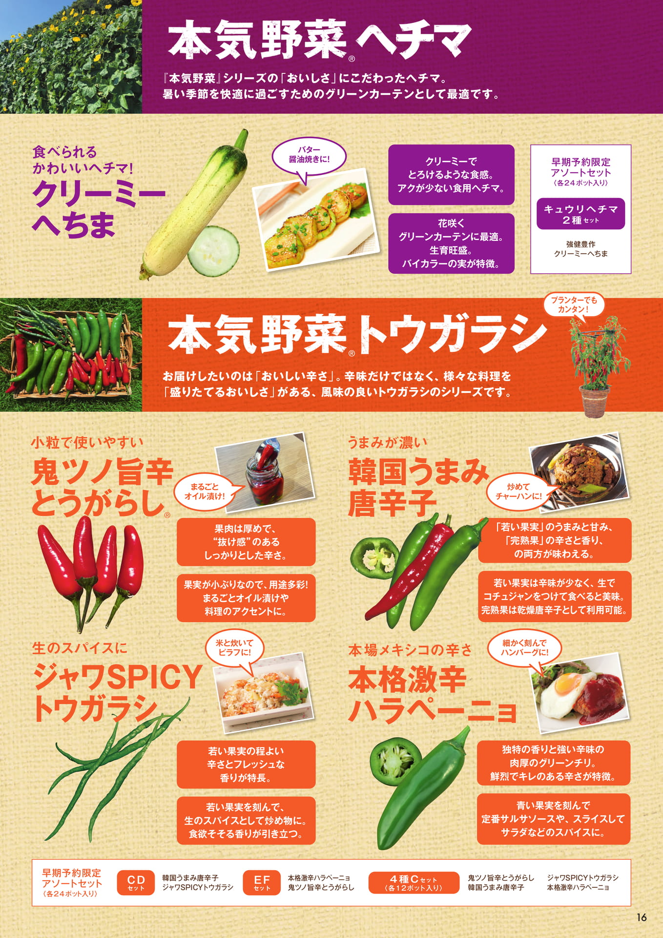 本気野菜ヘチマ、トウガラシ(17ページ目)